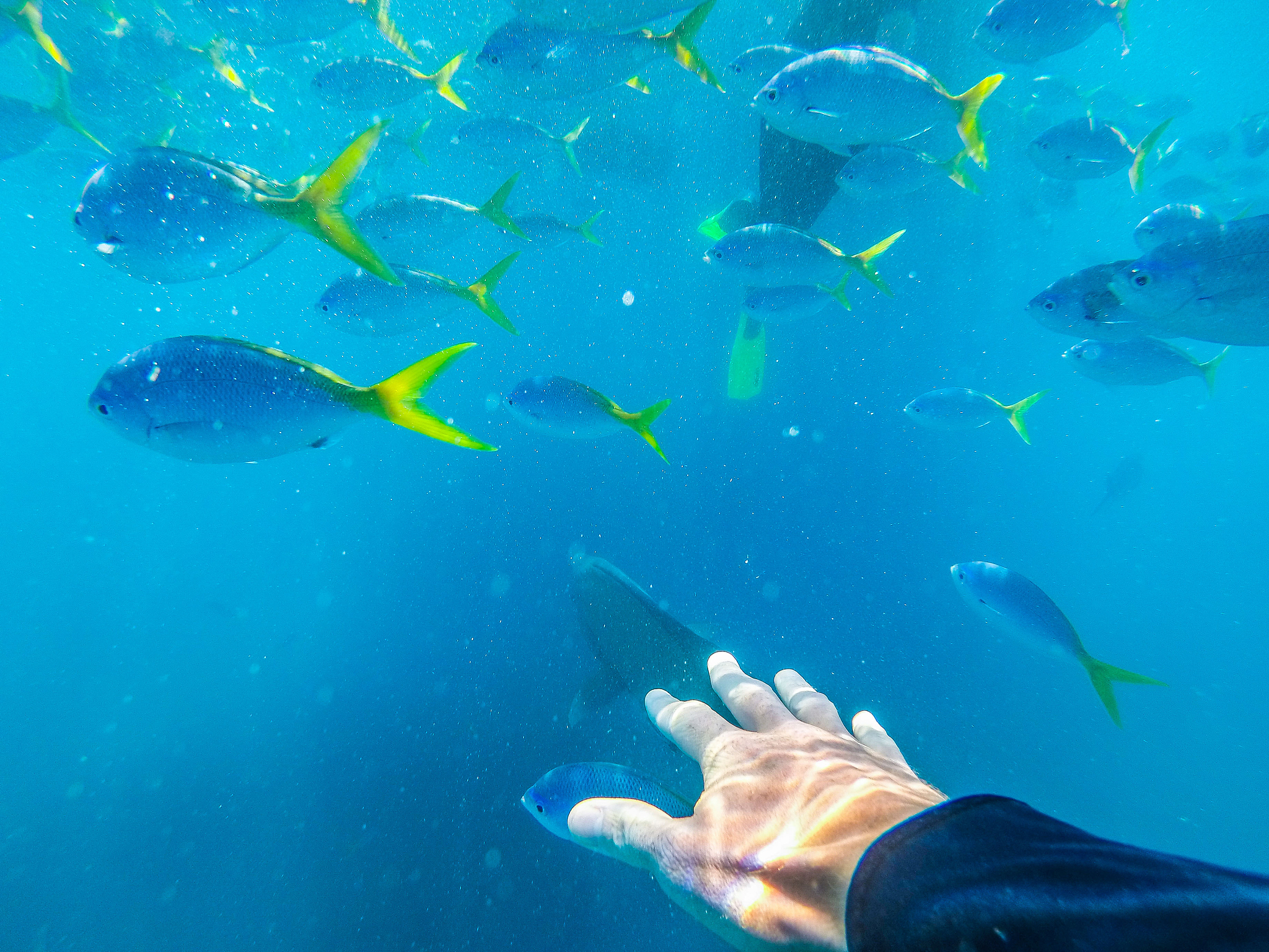 exploring the whitsunday islands in australia