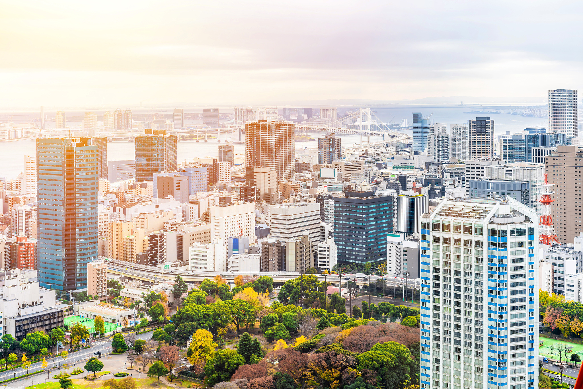 urban city skyline aerial view in tokyo, japan