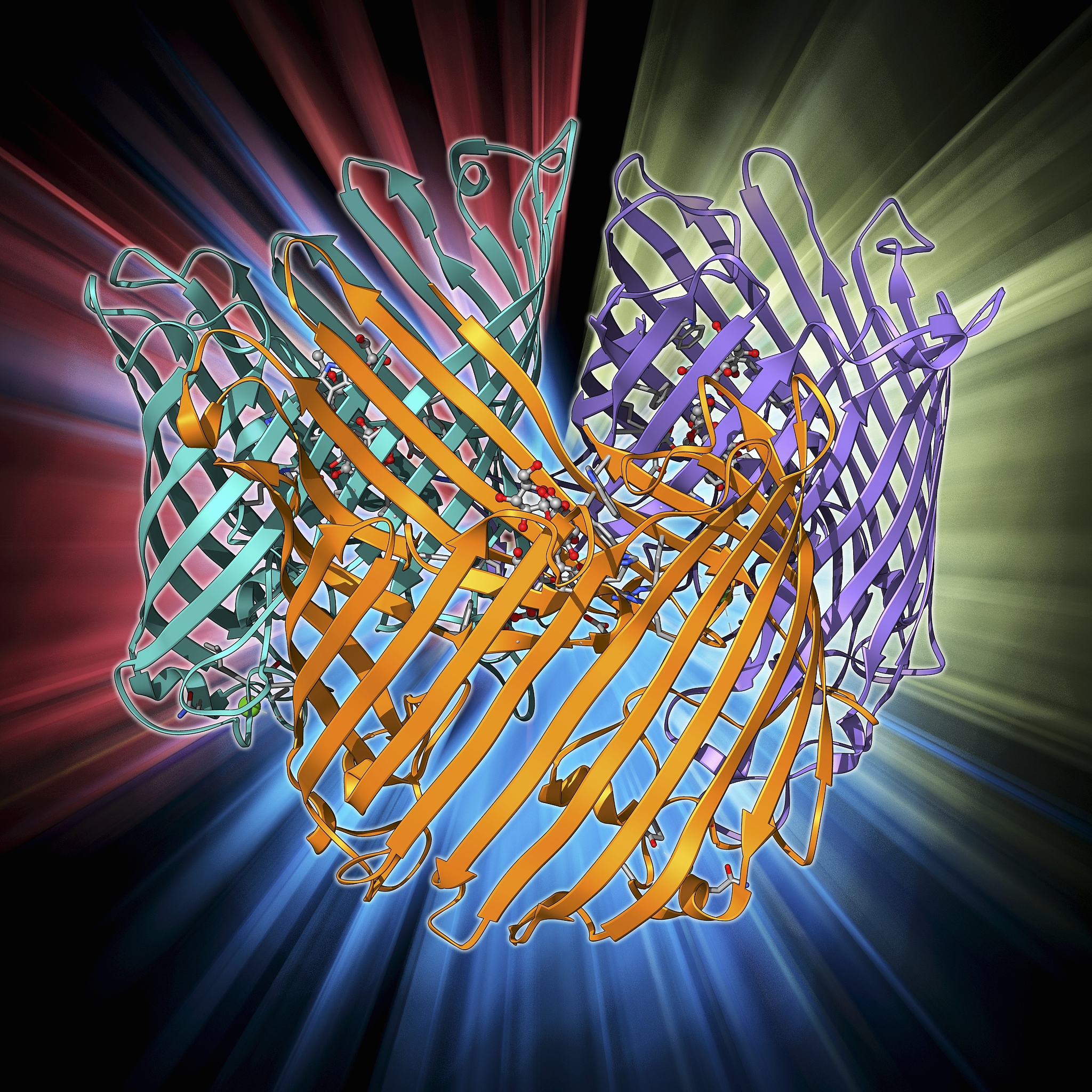 what are the common types of data structures for biomolecular structure