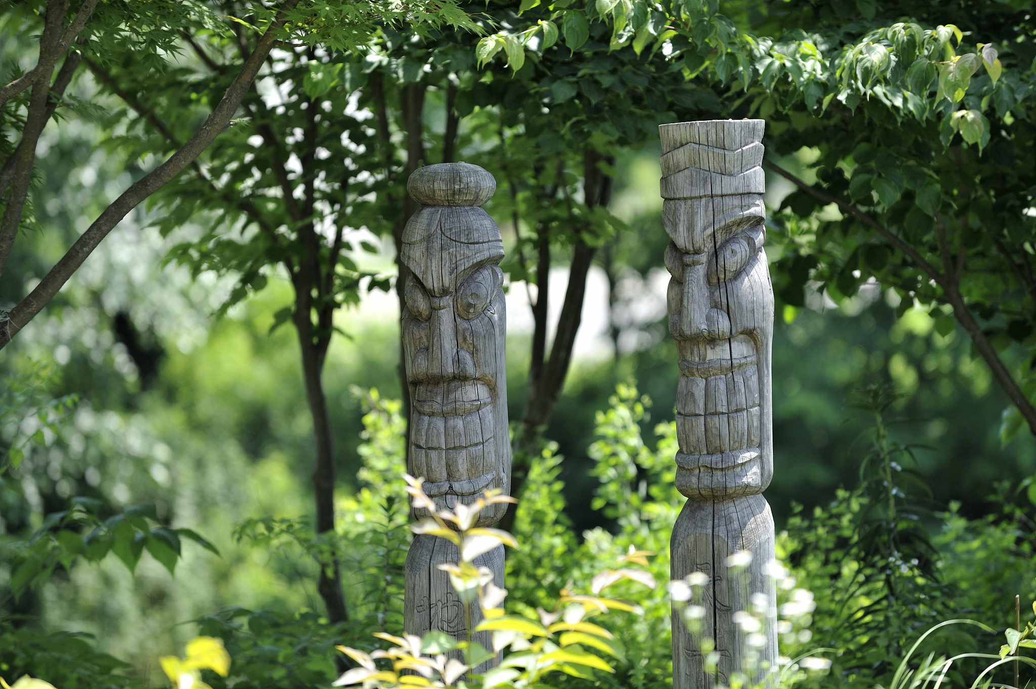 永恒之柱戒指：传说中的力量与智慧之源