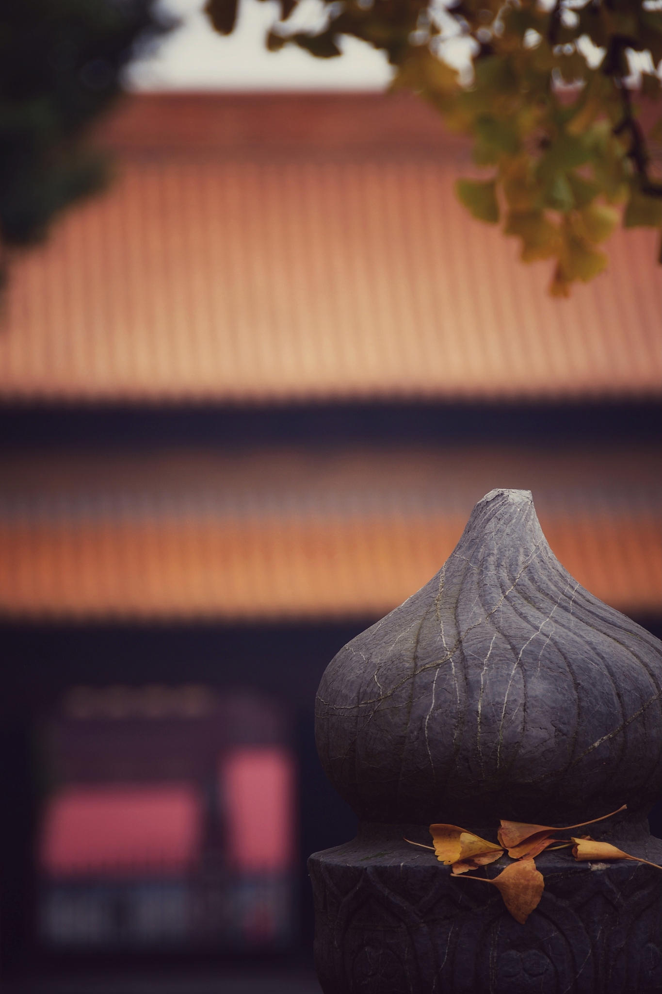 朝天宫的银杏叶