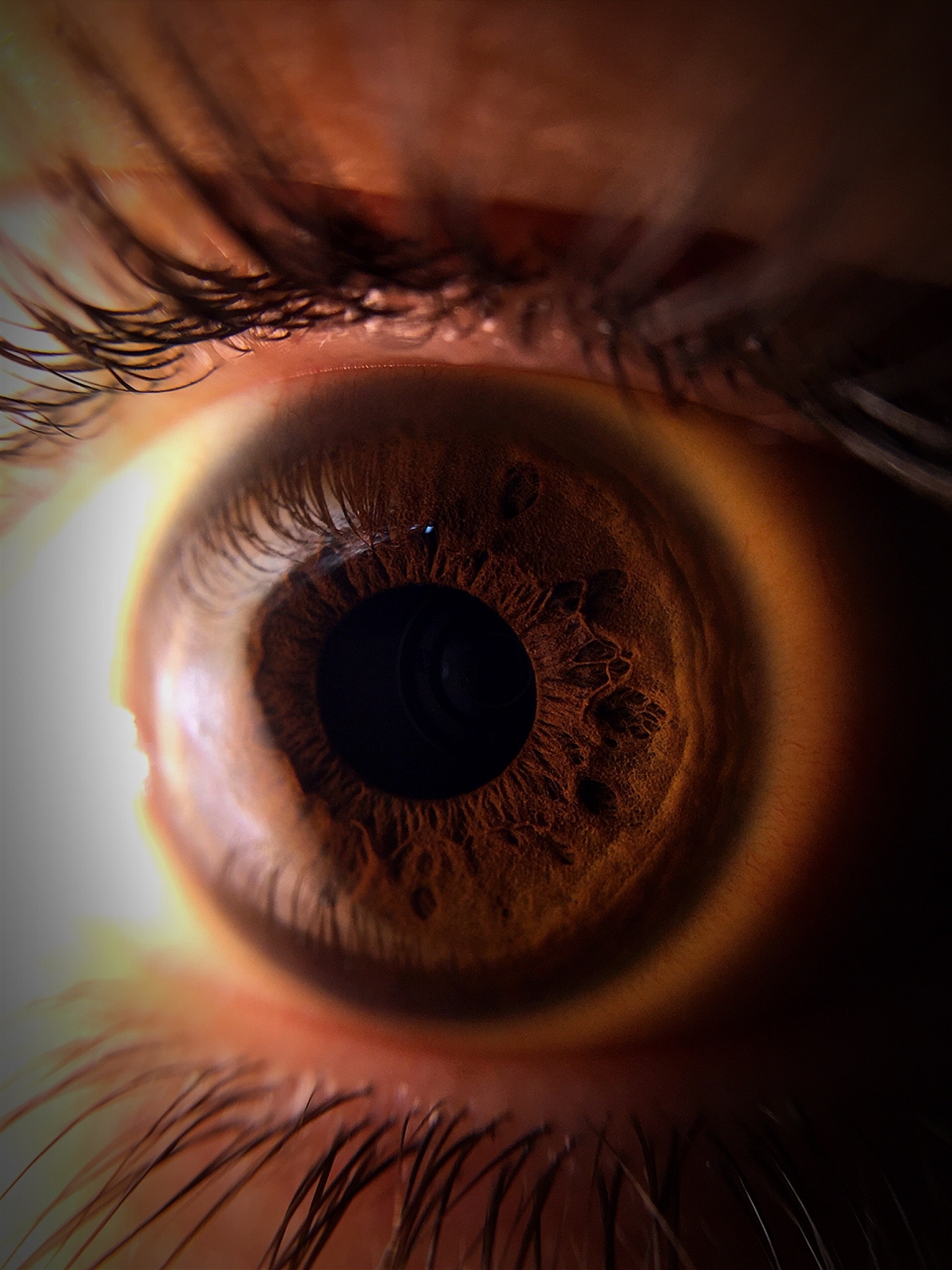 cropped eye of person