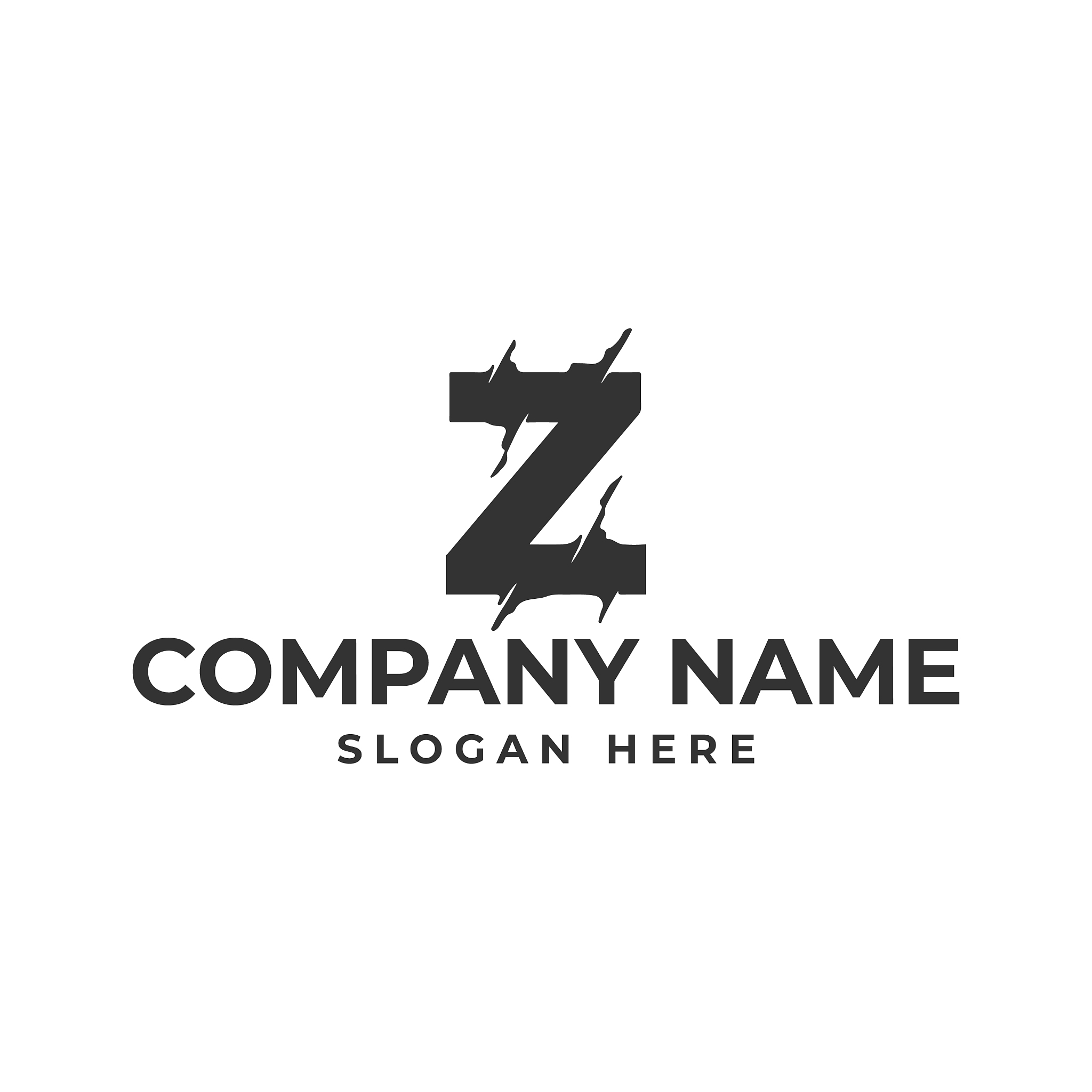 letter z logo template design
