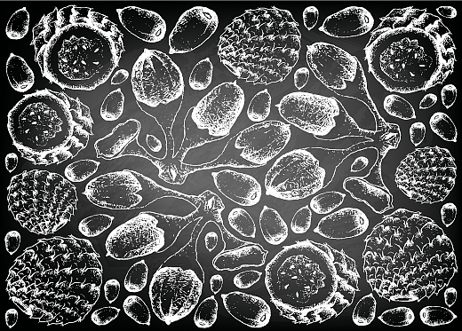 Buah Segar untuk Temani Berenang: Jeruk, Apel, Anggur, dan Lainnya