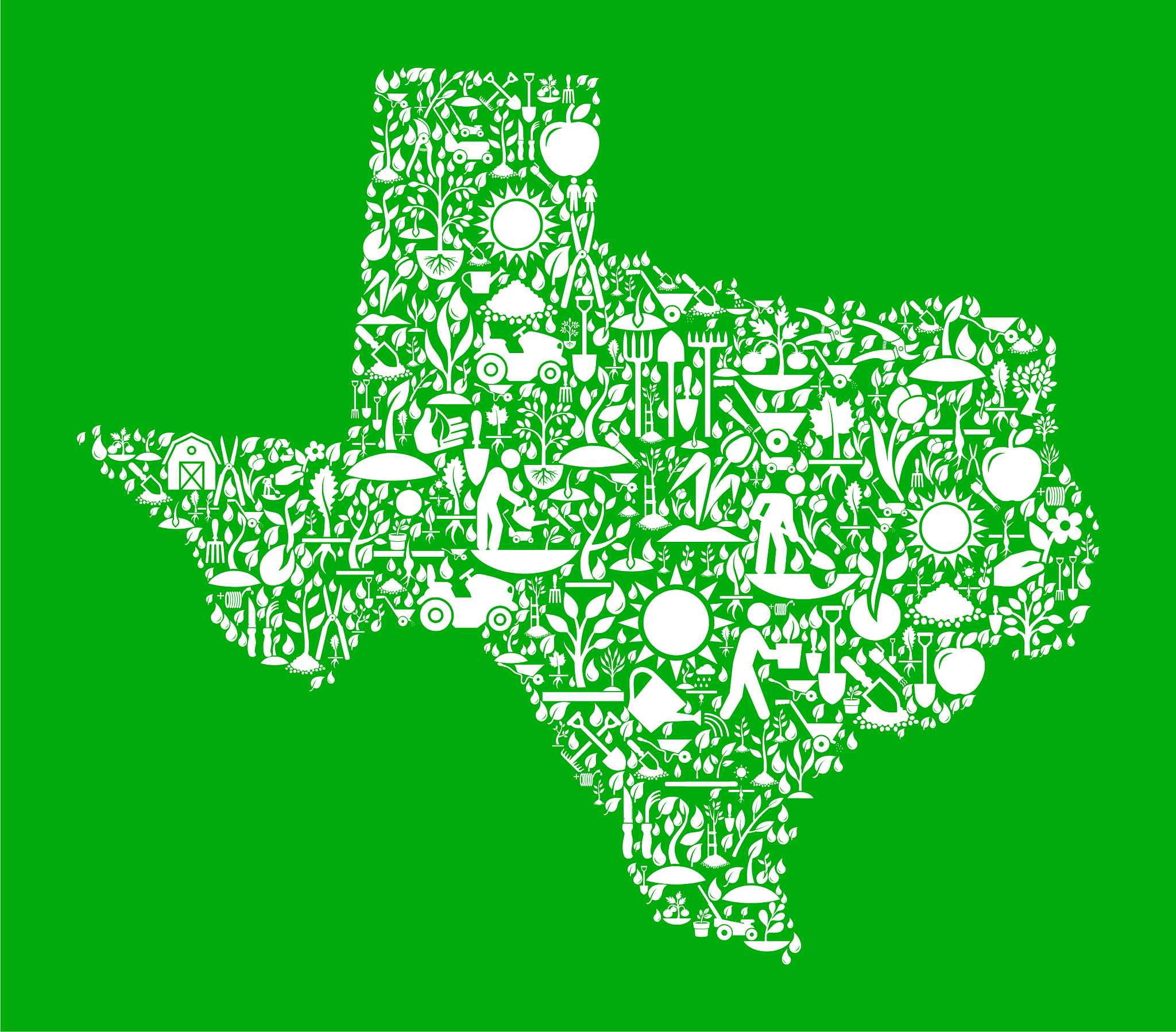 texas garden and gardening vector icon pattern