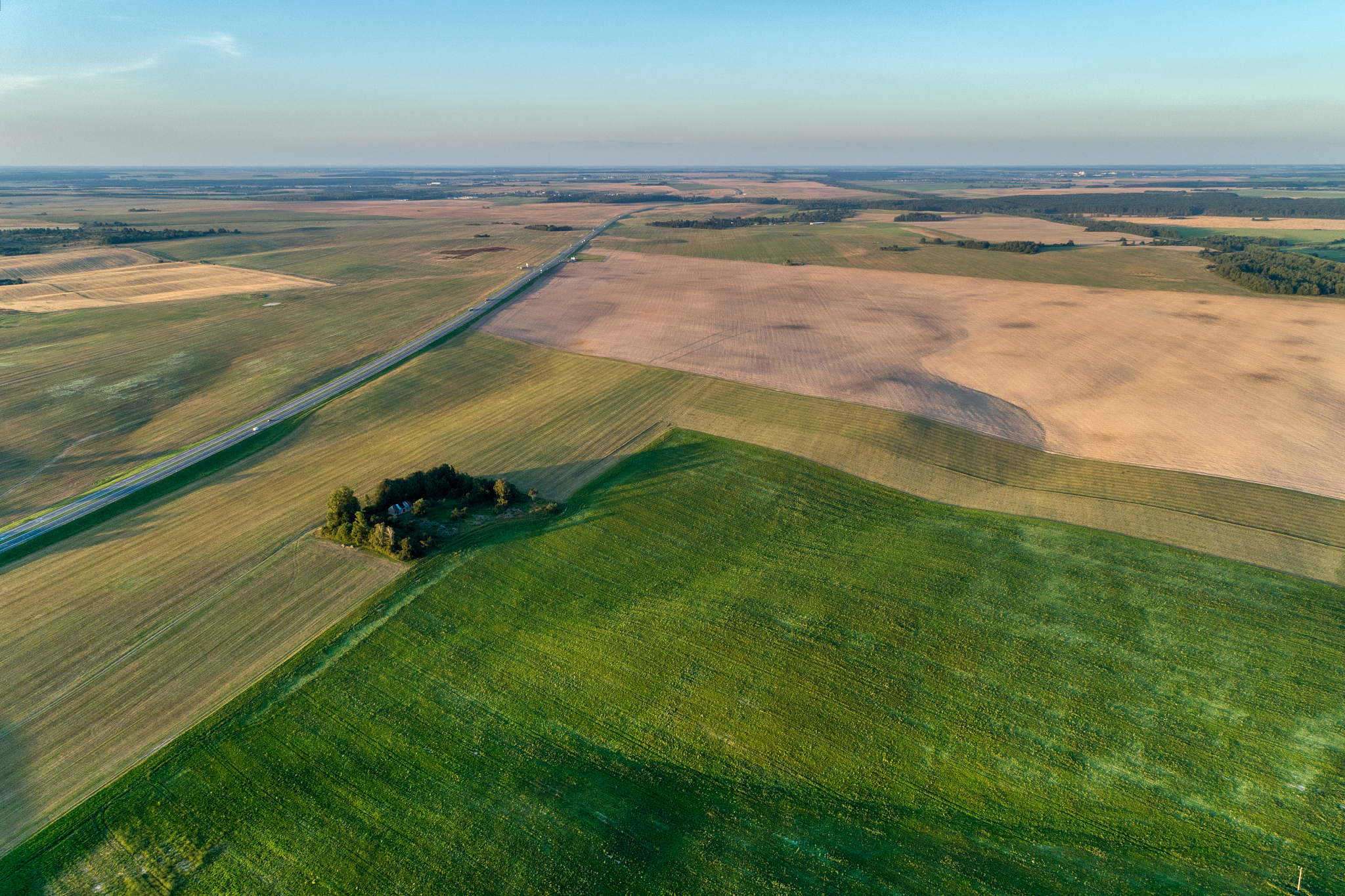 rural flat landscape. plowed and sown fields. evening shooting.