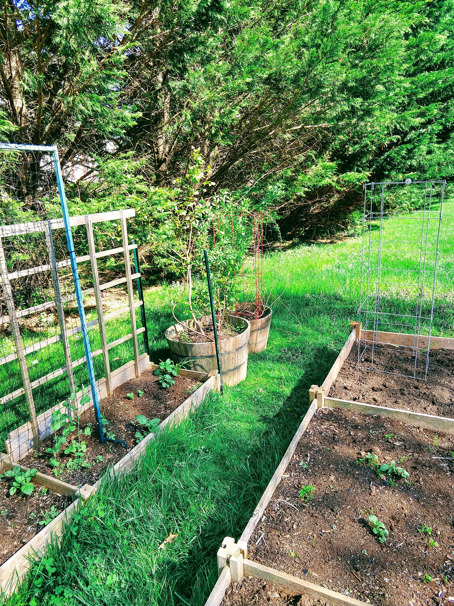 艾斯特生态农场设施特点