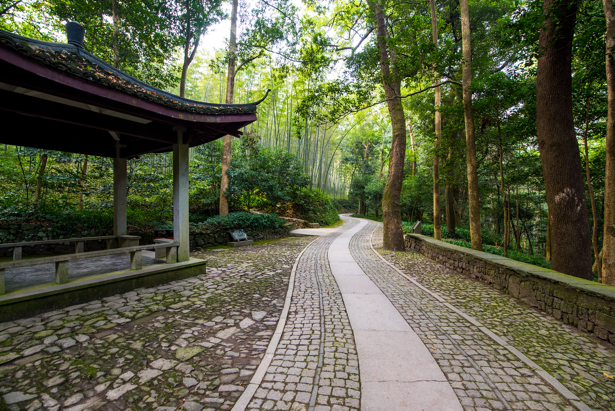 竹林亭相遇，浪漫爱情故事 - 言情小说创作灵感