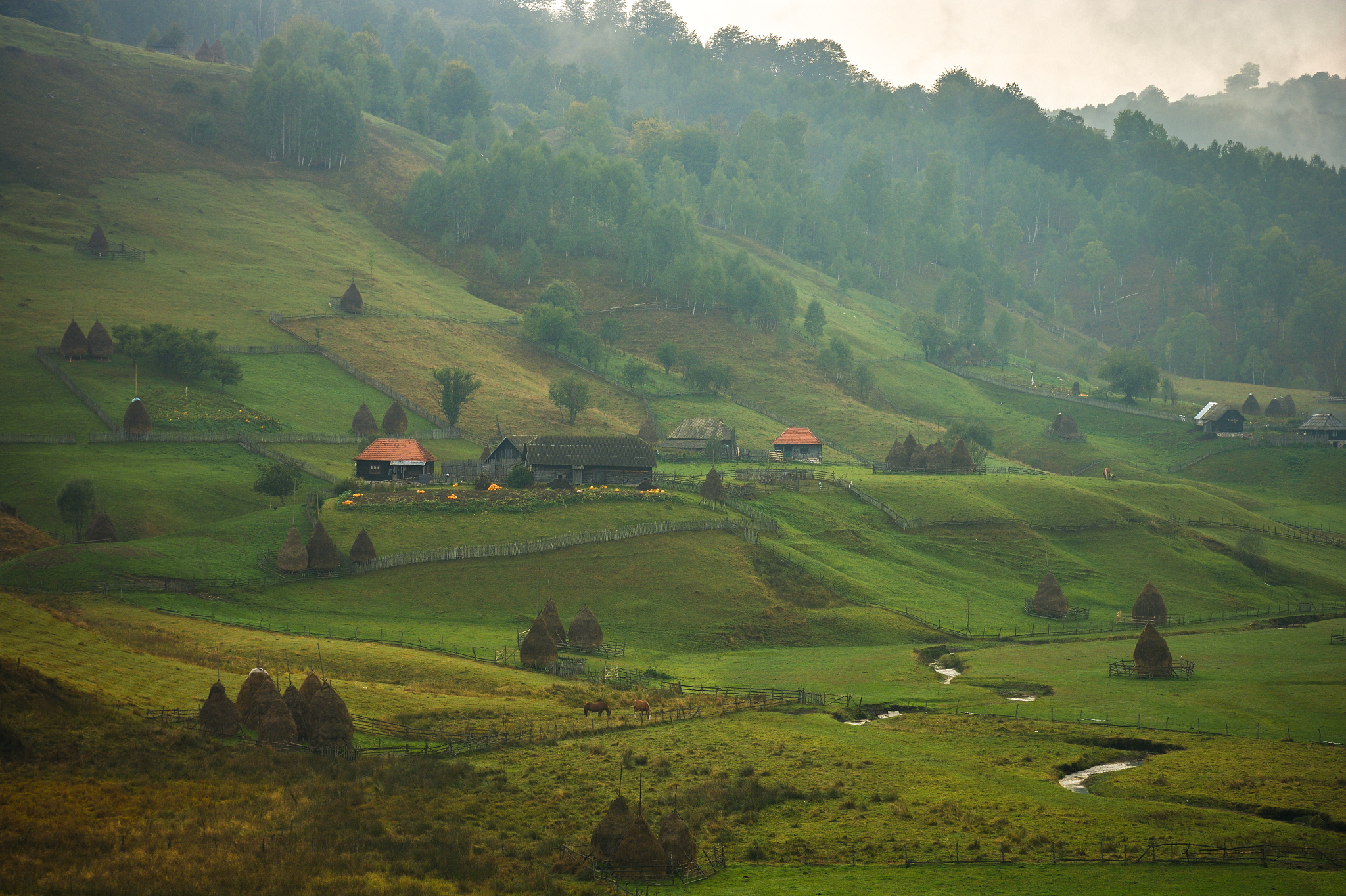 mountain landscape in summer morning