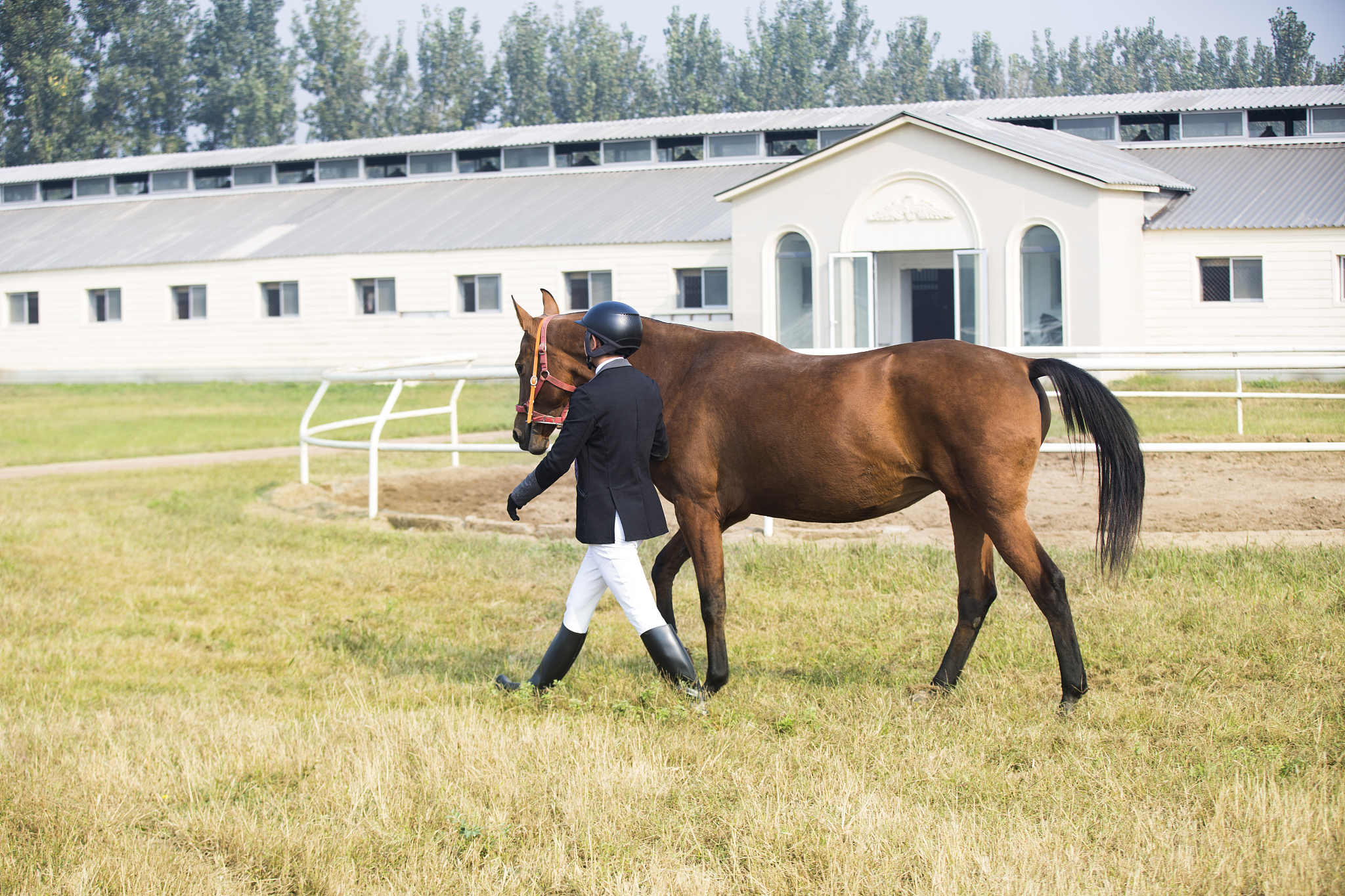 西乔丹附近马术中心推荐