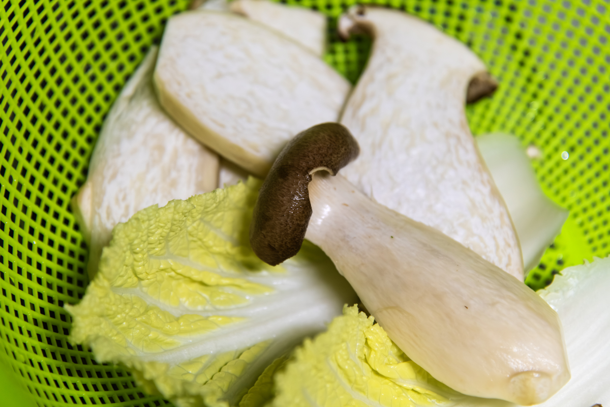 松茸菌能生吃吗？安全食用指南！