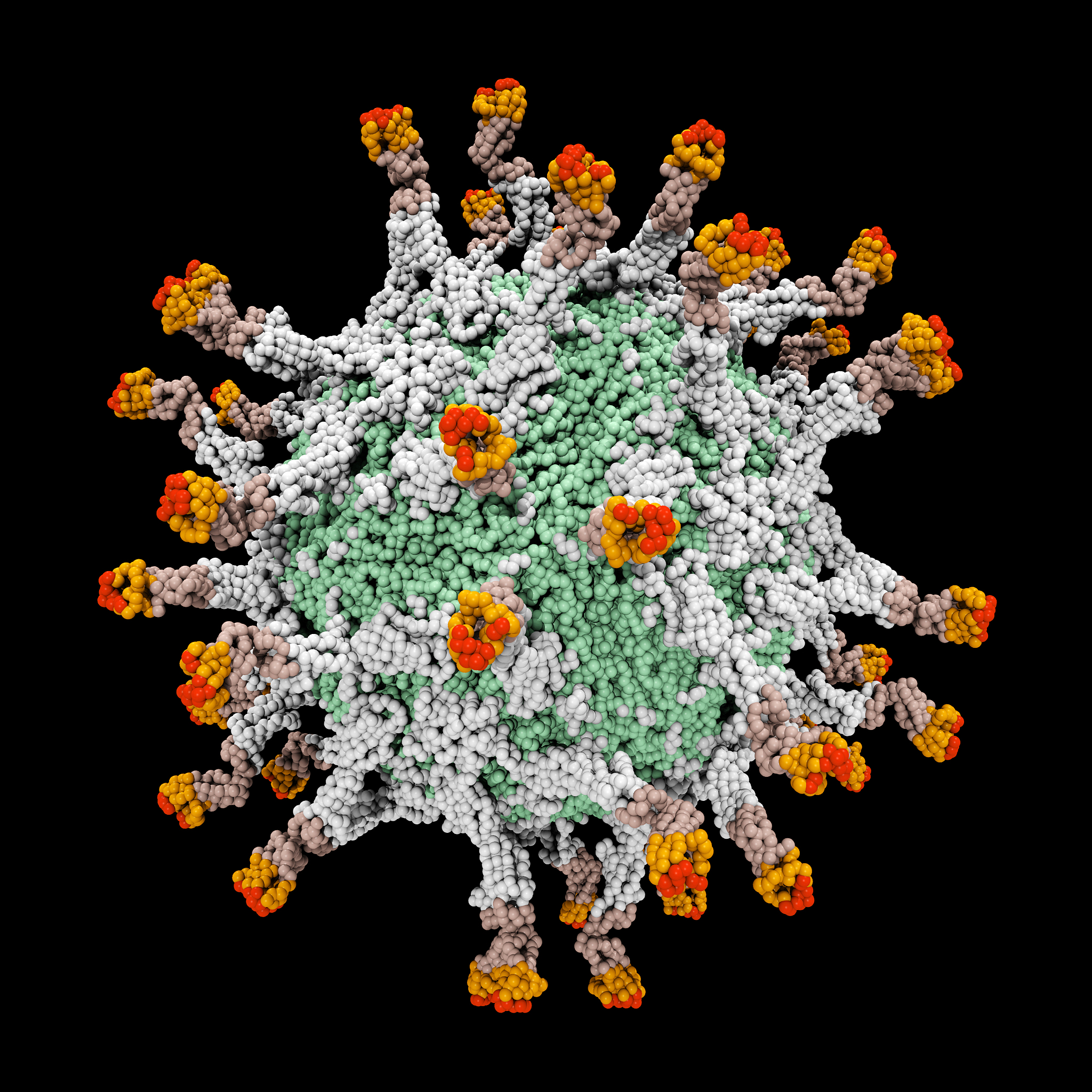 流感缺损干扰颗粒的生产