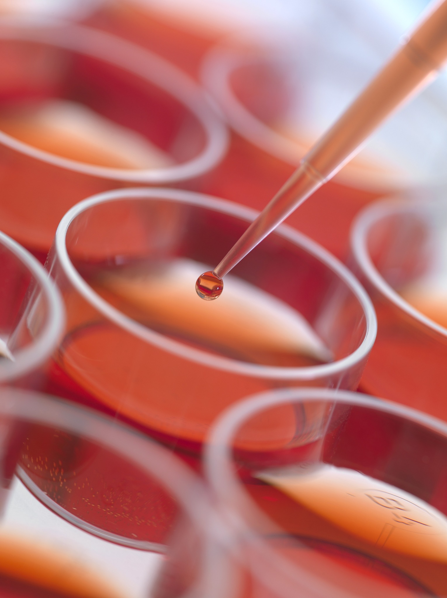 冻胚移植后吃水果指南：最佳选择、合理搭配，提高受孕几率