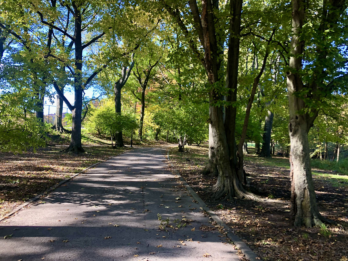 温柔姐姐叫醒弟弟：起床啦，一起去公园玩！