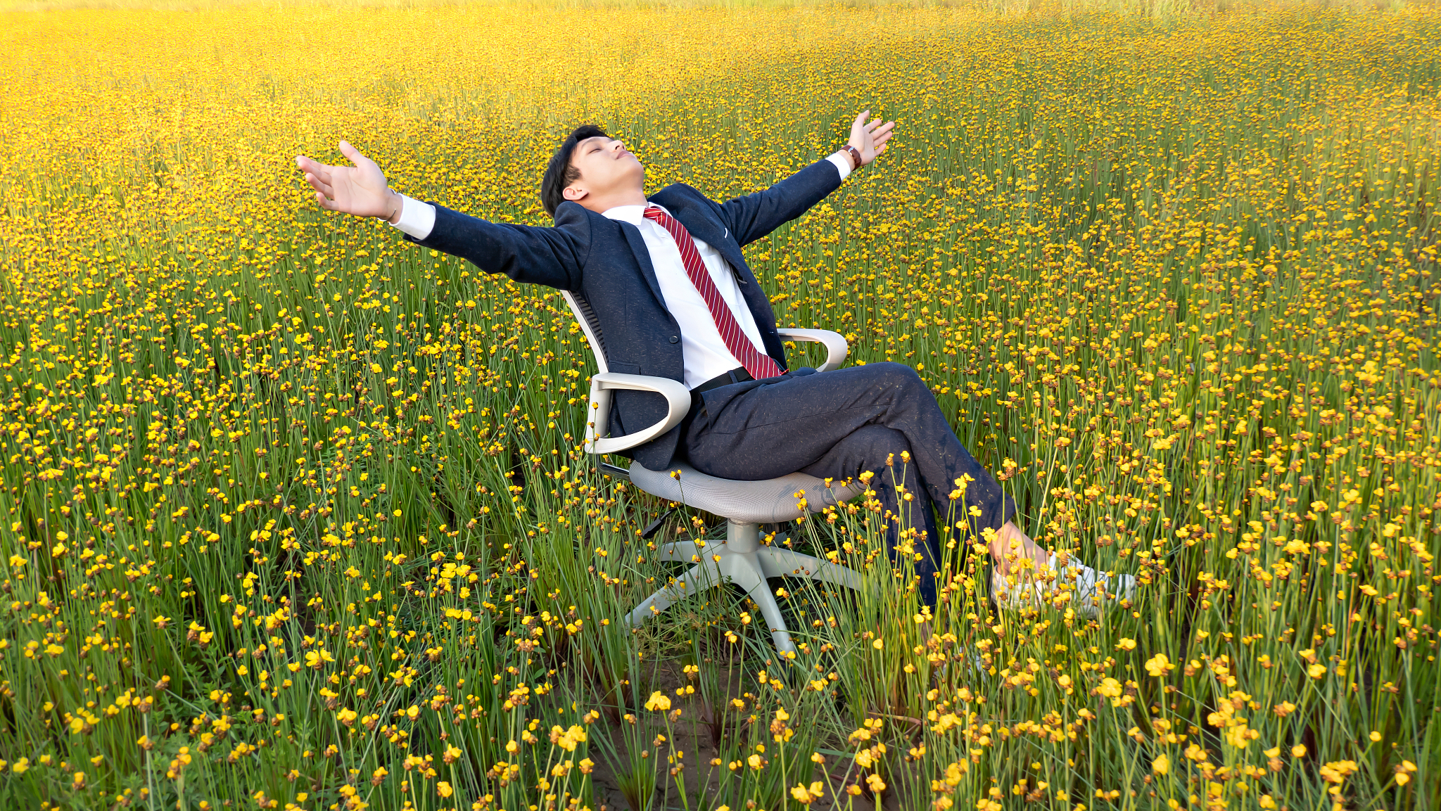 临洮农业学校计算机应用专业就业前景及方向 - 农业领域人才培养