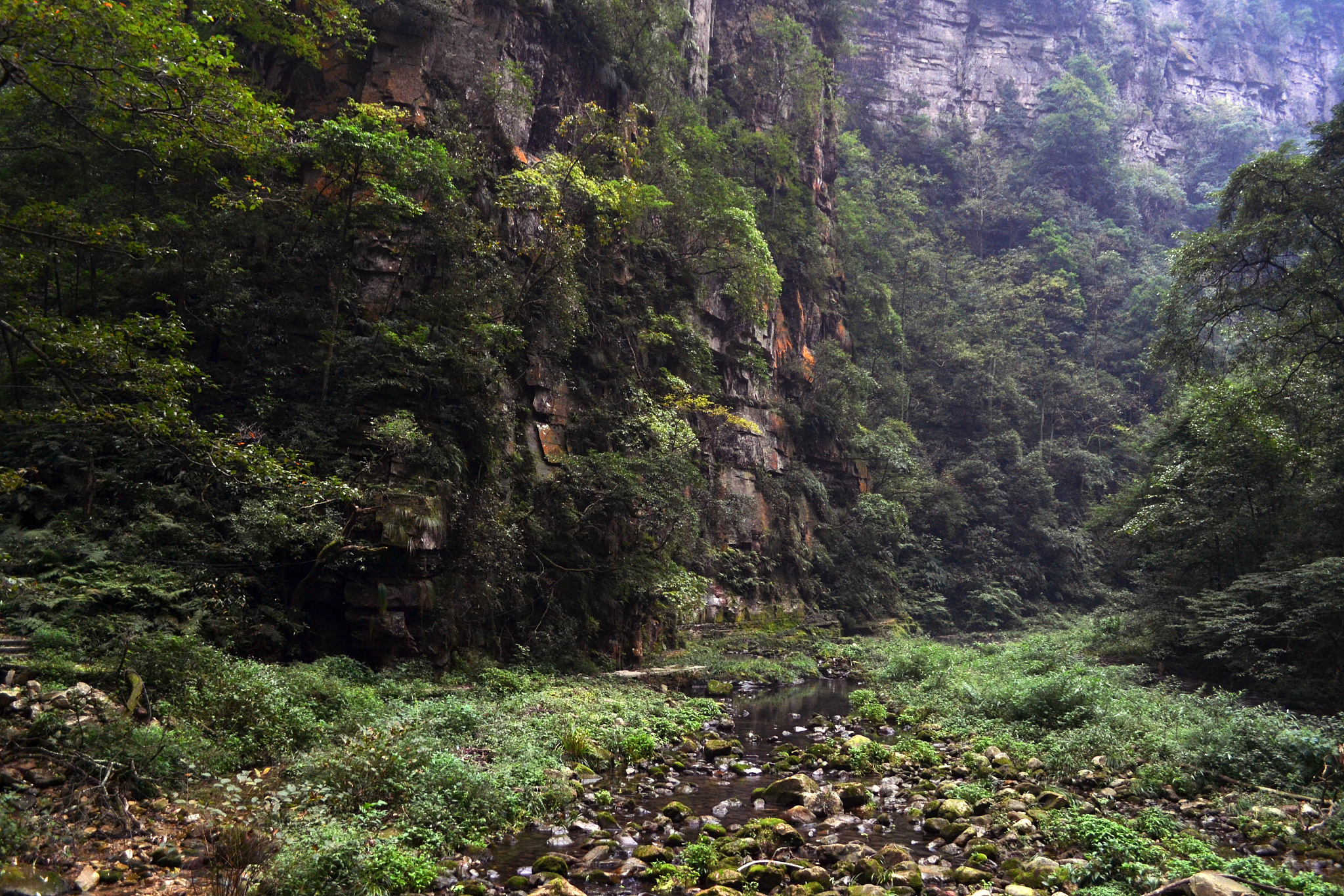 张家界航空工业职业技术学院涉外旅游专业课程设置有哪些