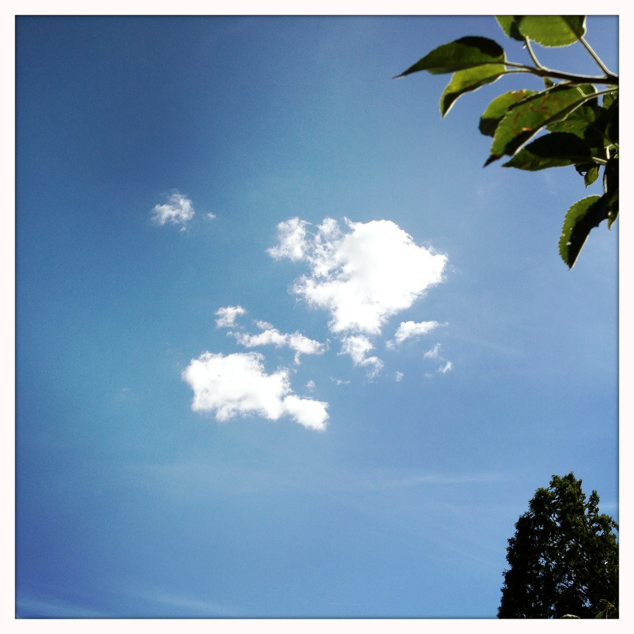 今天天气不错 改写这句话