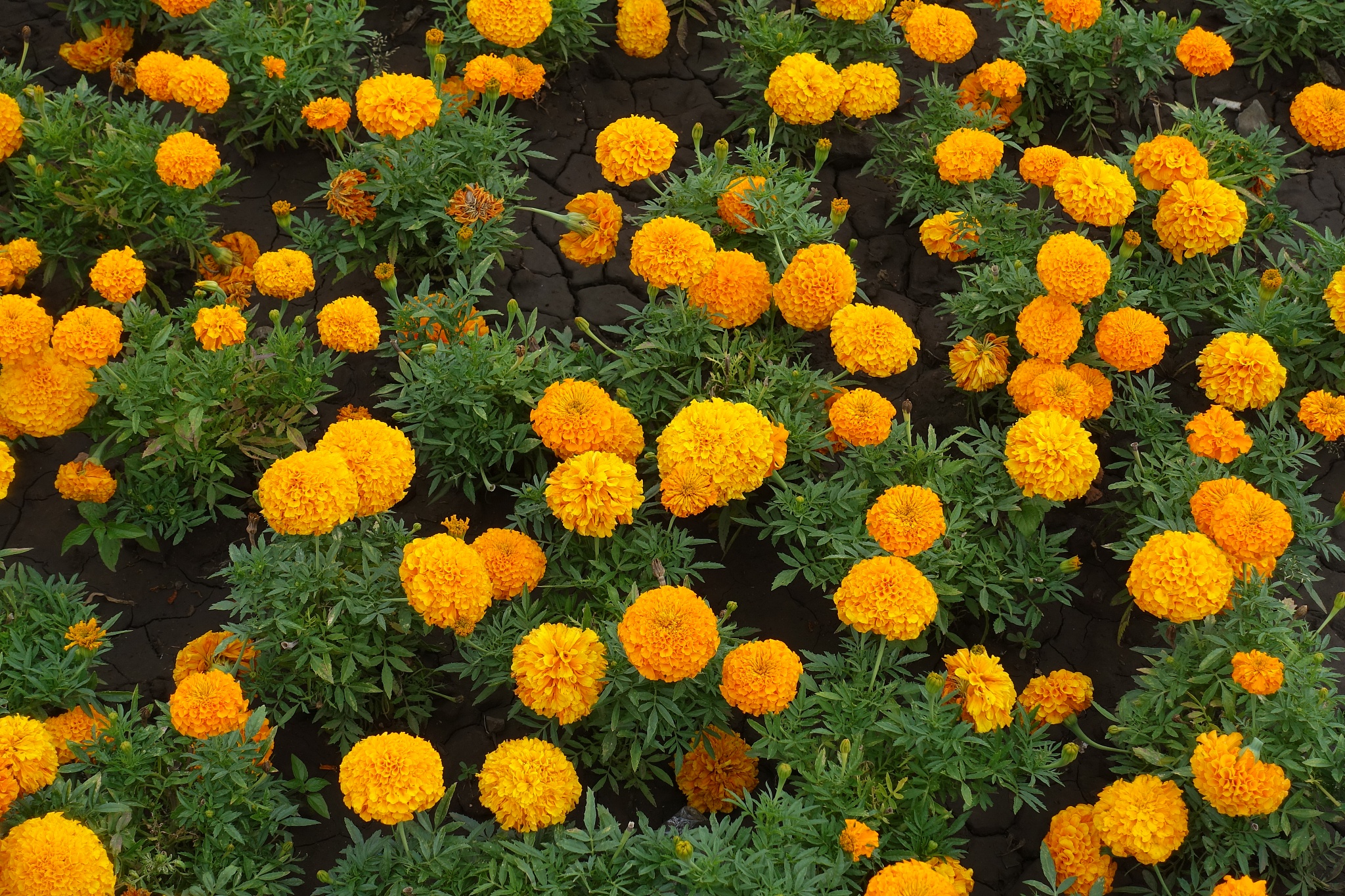 吉安市中等专业学校招生专业：热门专业及特色介绍