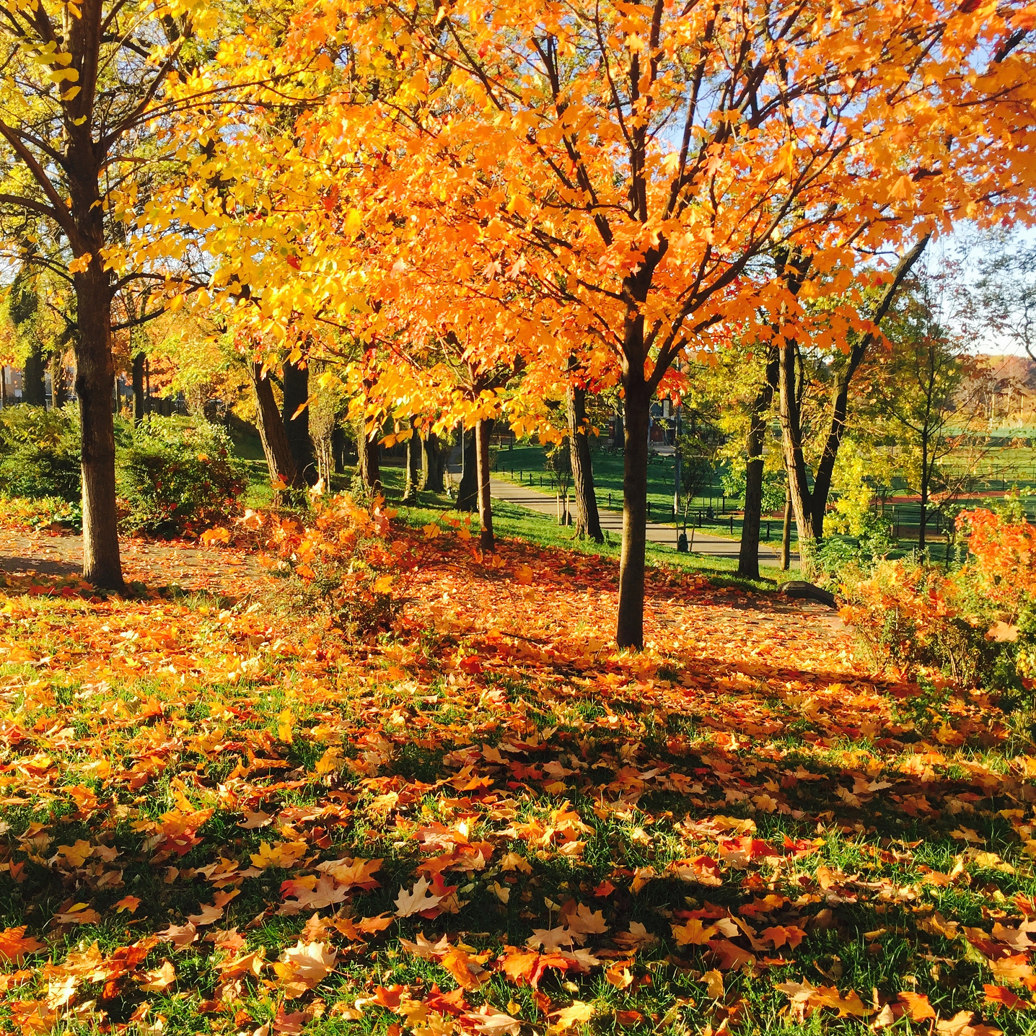 给我一个不错的文笔挑战