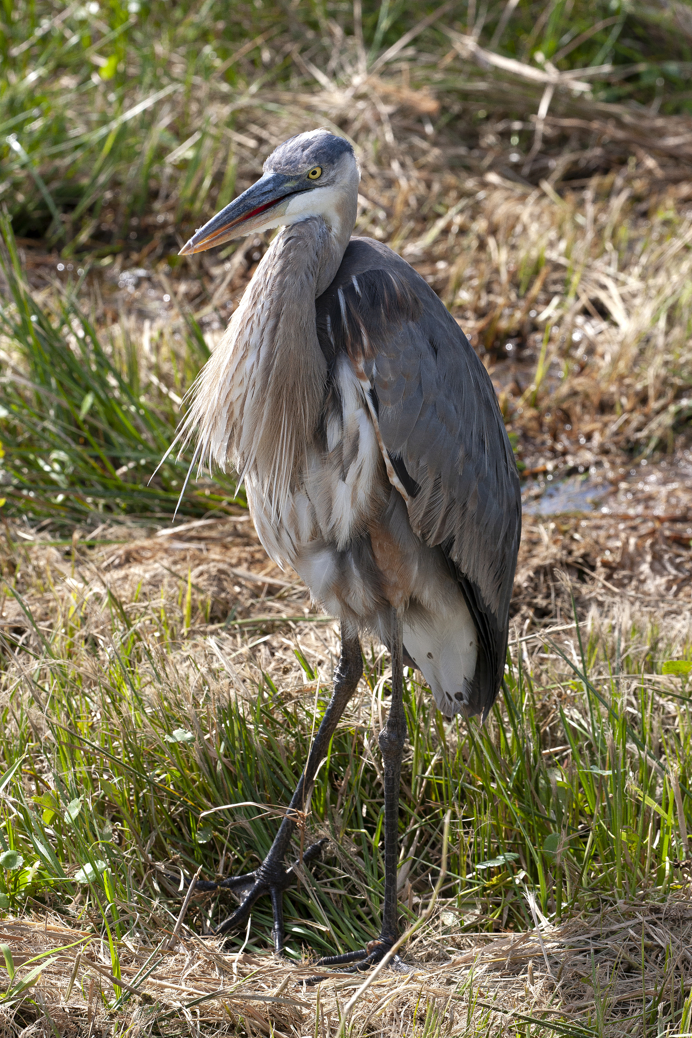 石家庄铁路职业技工学校能够带手机吗