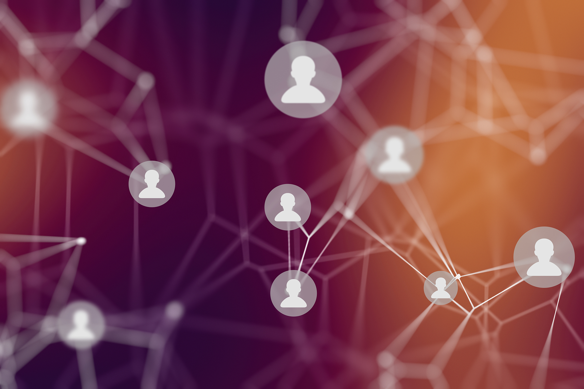 social network