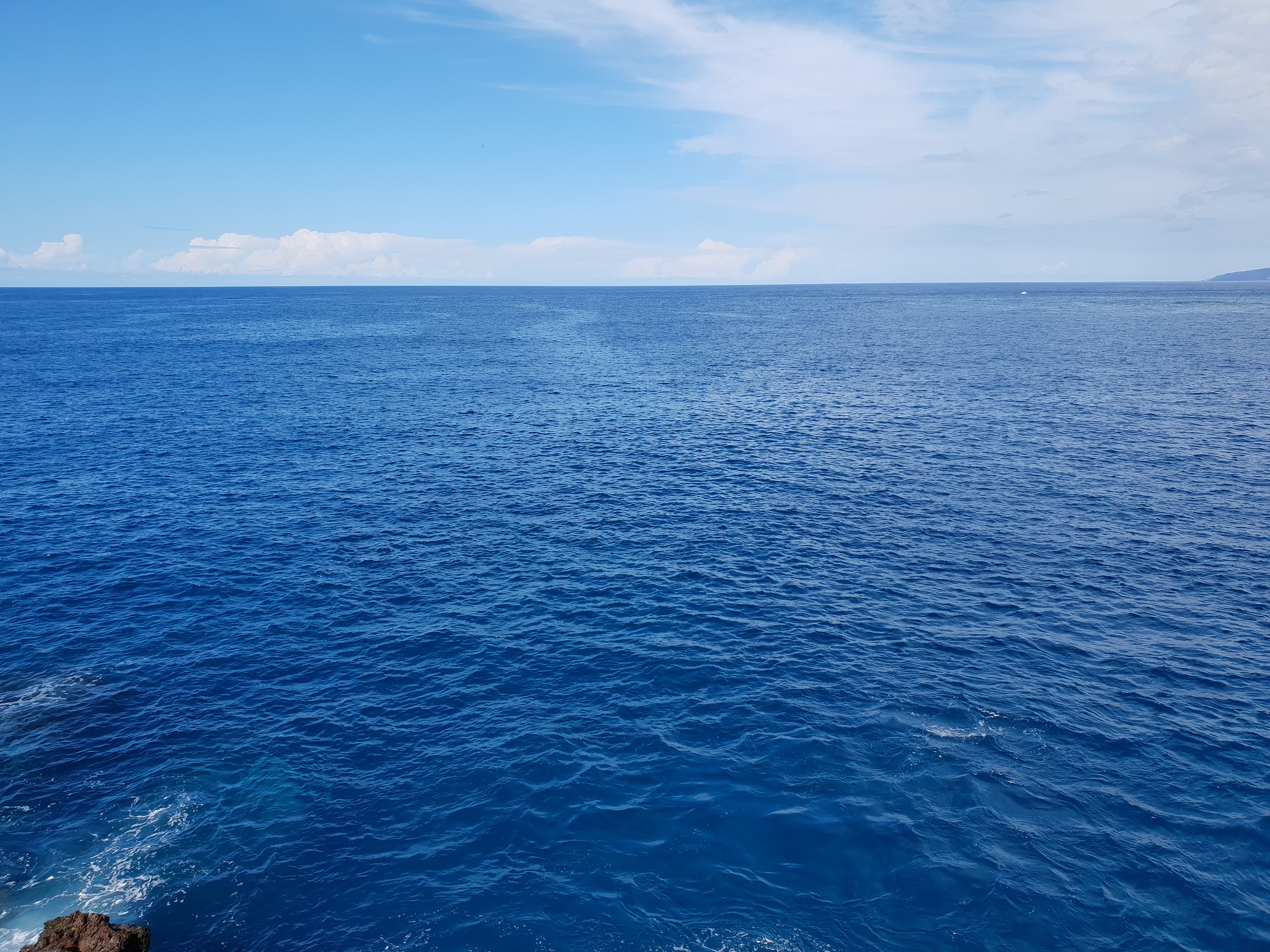 海为什么是蓝色的脑筋急转弯