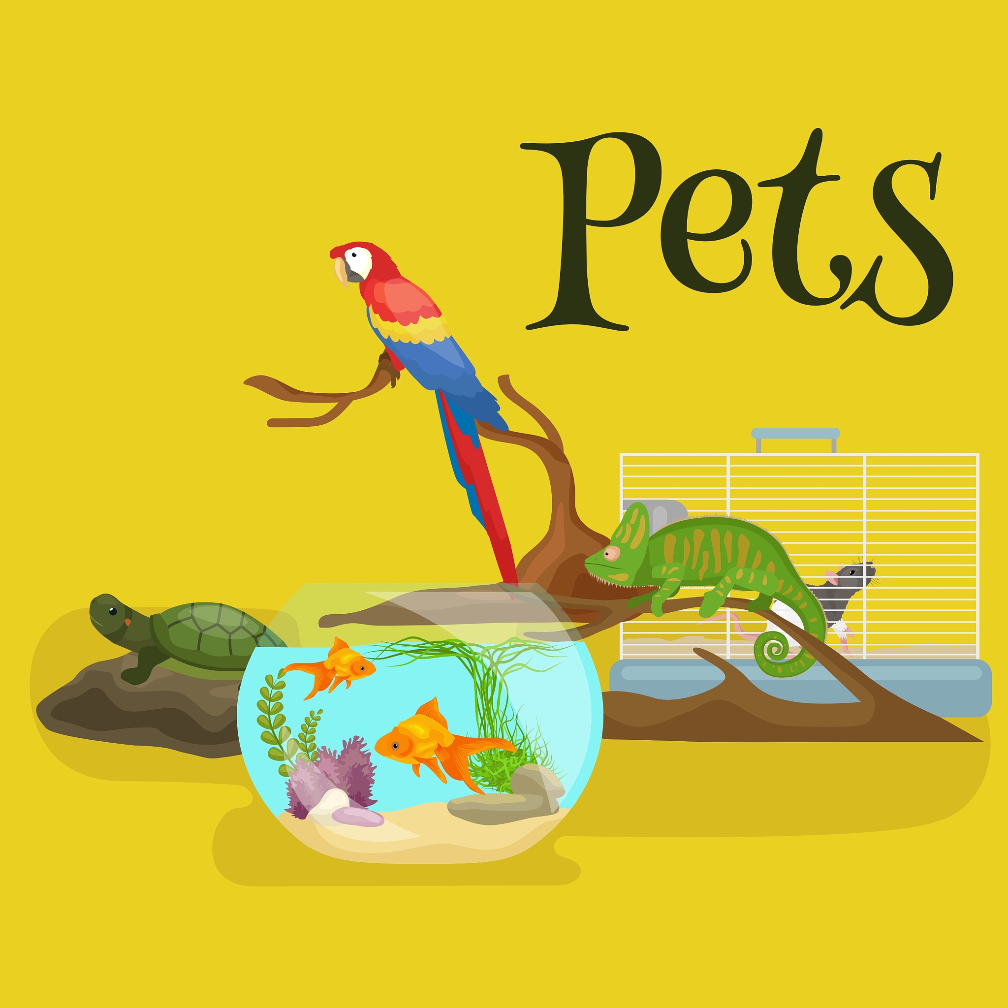 全球有多少人饲养宠物？