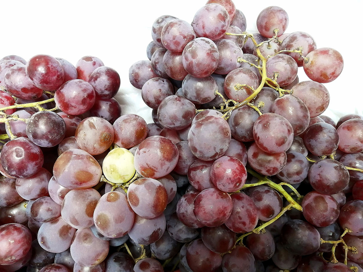 水晶葡萄的功效与作用禁忌