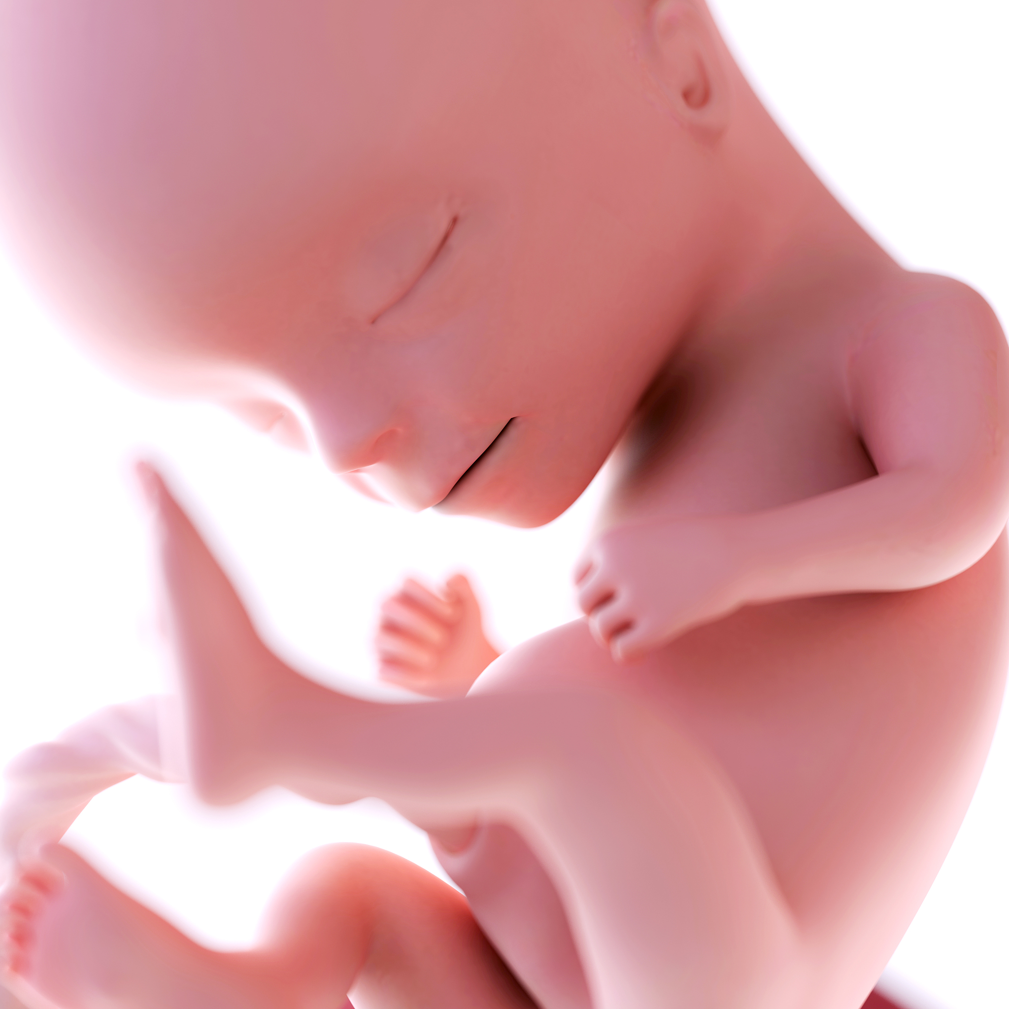 重庆卫生学校的助产专业学习那些课程