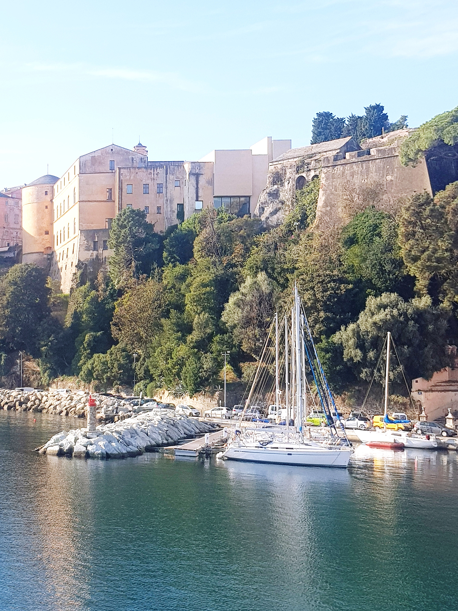 Imidacloprid-Induced Developmental Delay in Bee Larvae: A Study on the Roles of Molting Hormones and Acetylcholinesterase