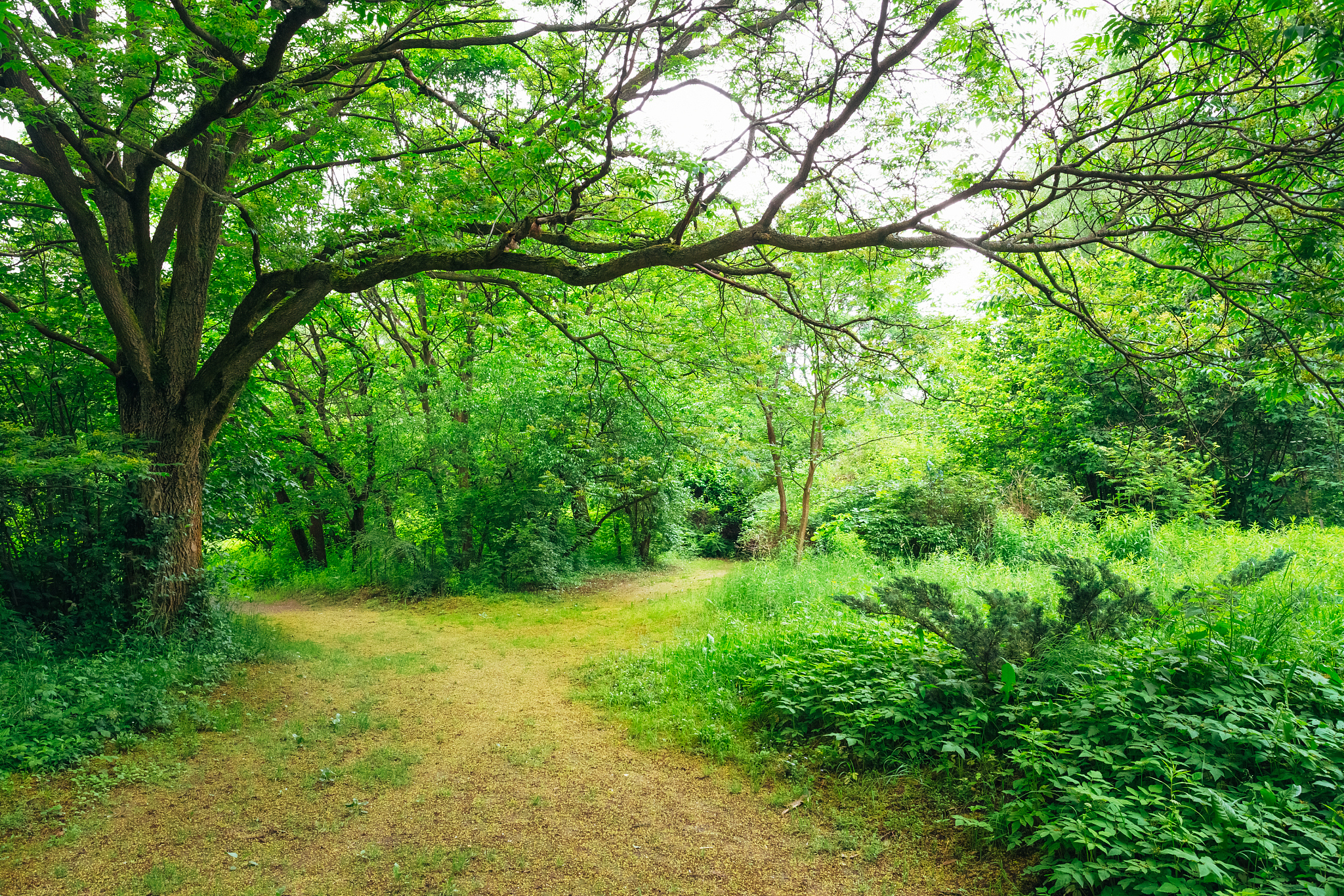 贵阳市女子职业学校园林绿化专业就业方向及前景