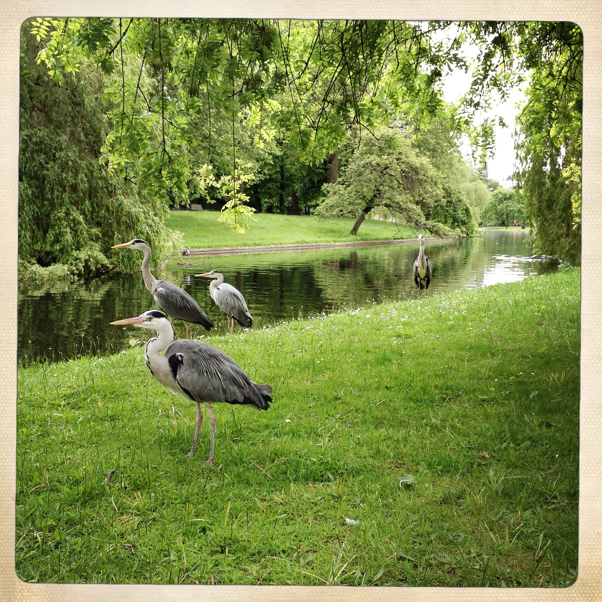 凡卡续写：公园一日游