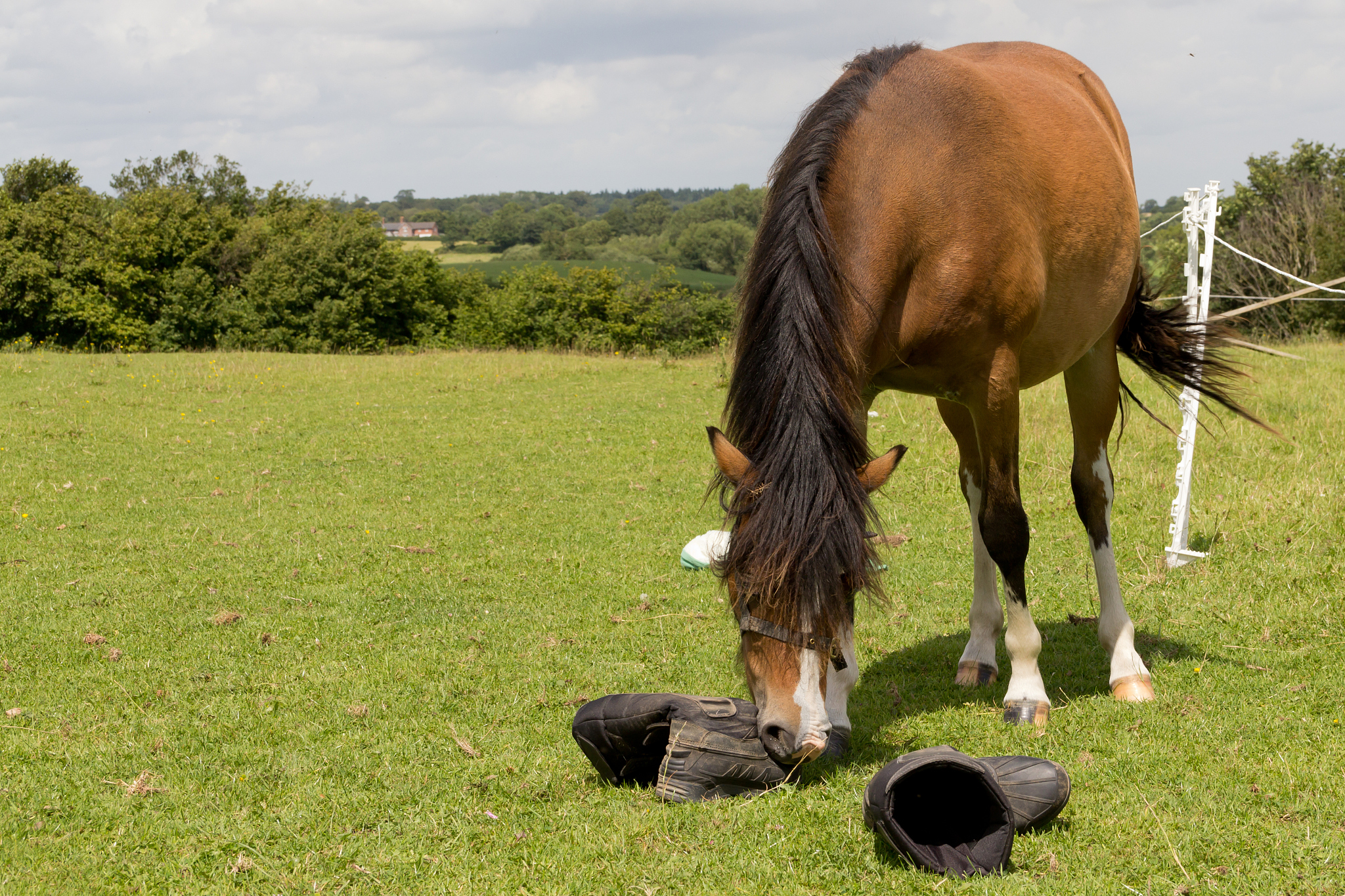 these boots were made for walking?