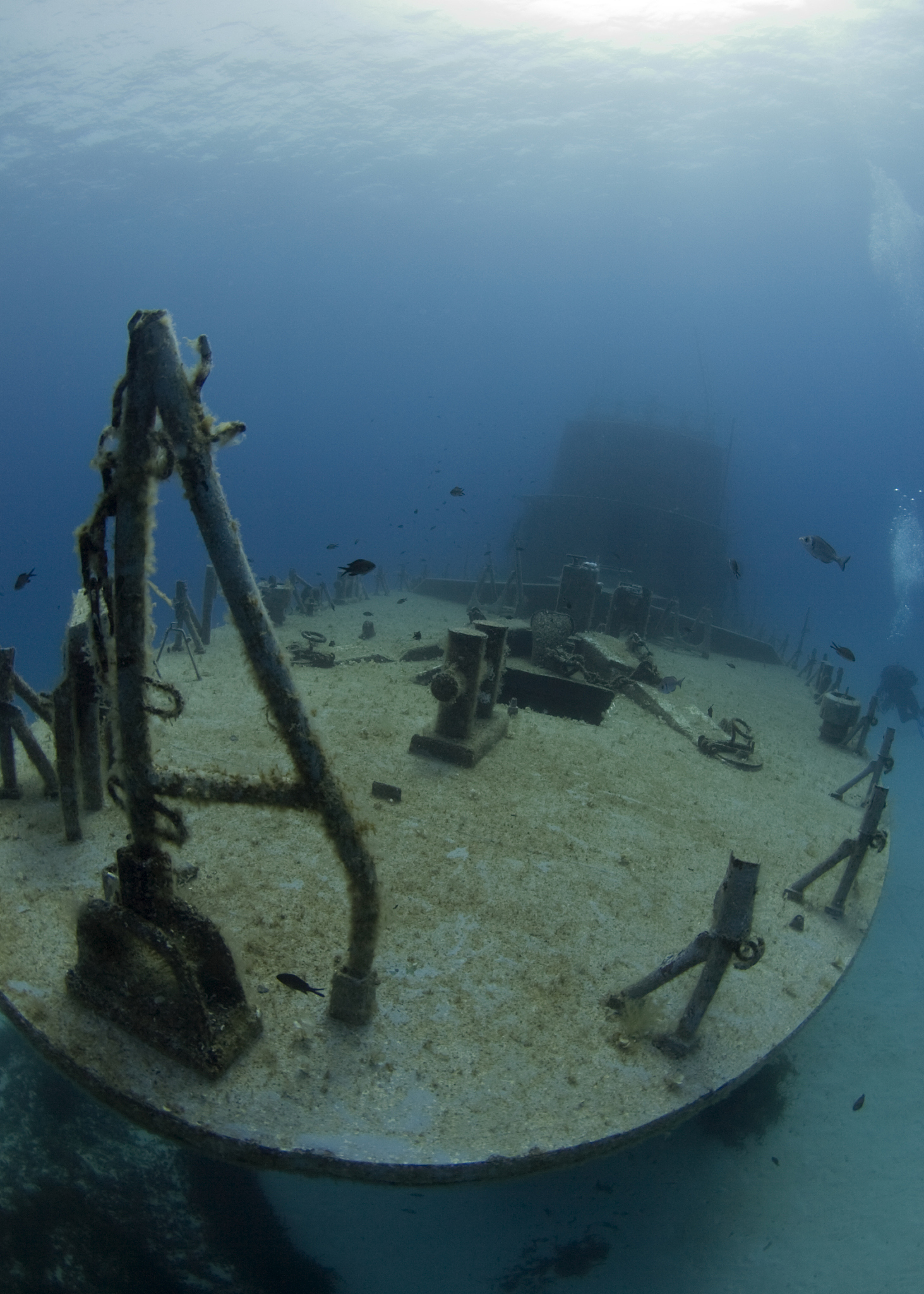 shipwreck & scuba diver