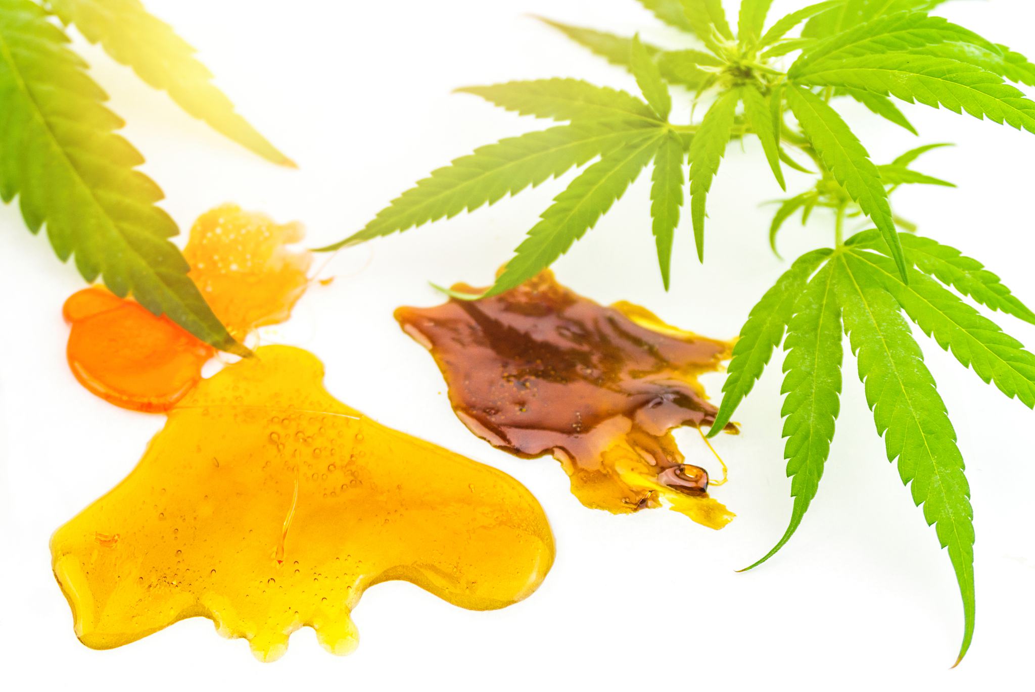 various cannabis cbd and thc shatter rosin extracts with hemp fl