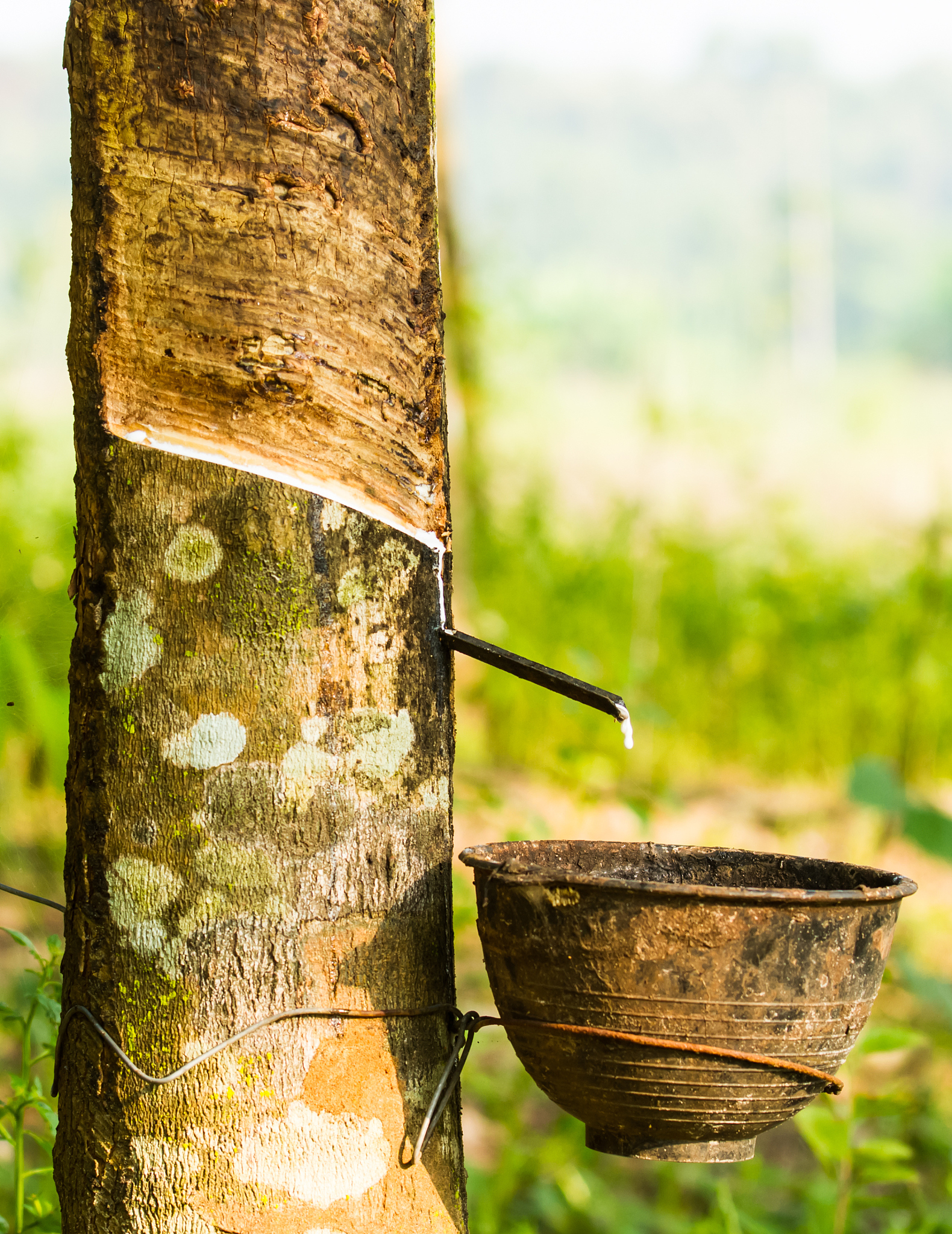 液体橡胶的合成原理