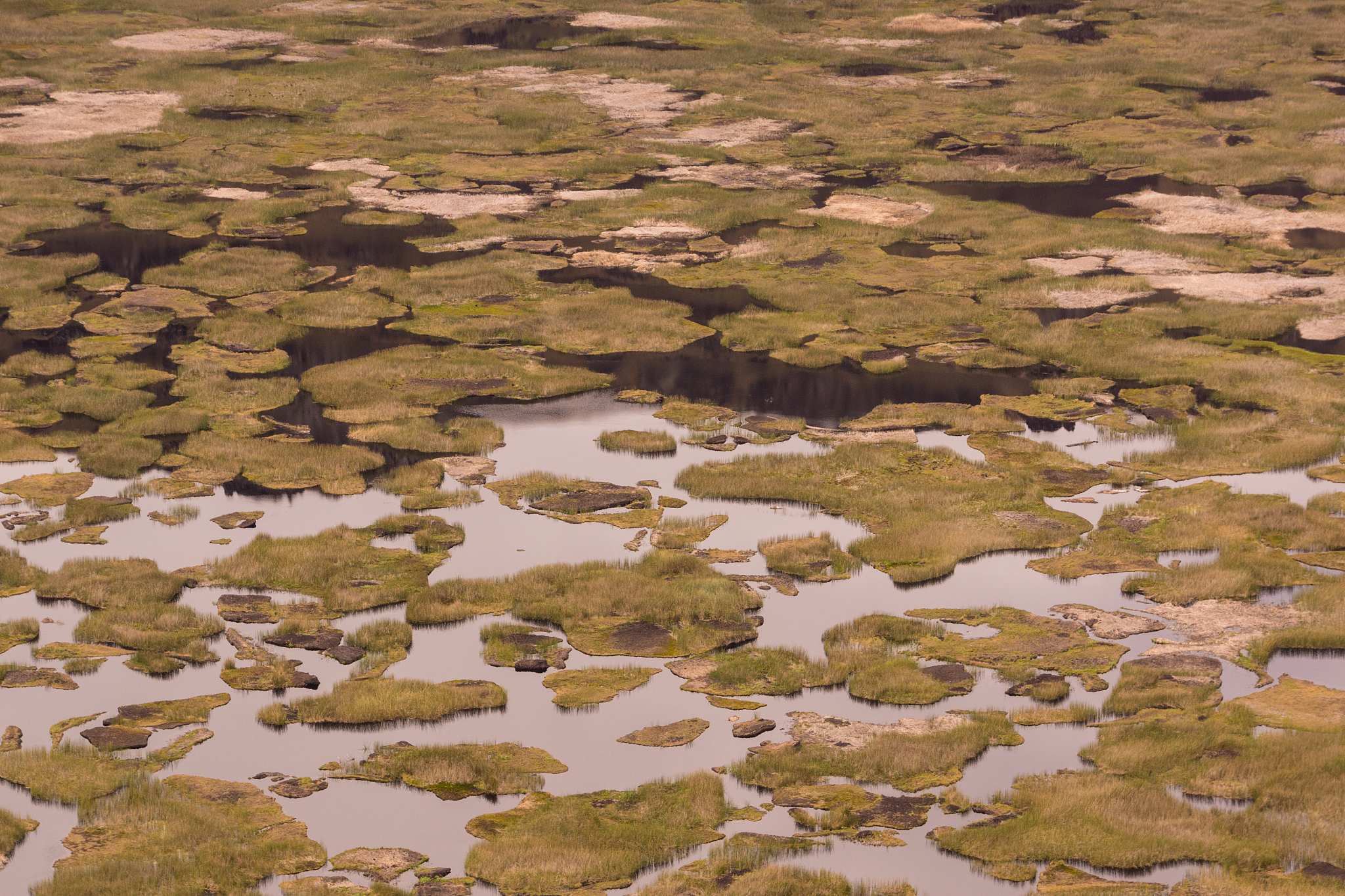 freshwater lake inside rano kau volcano crater , rapa nui