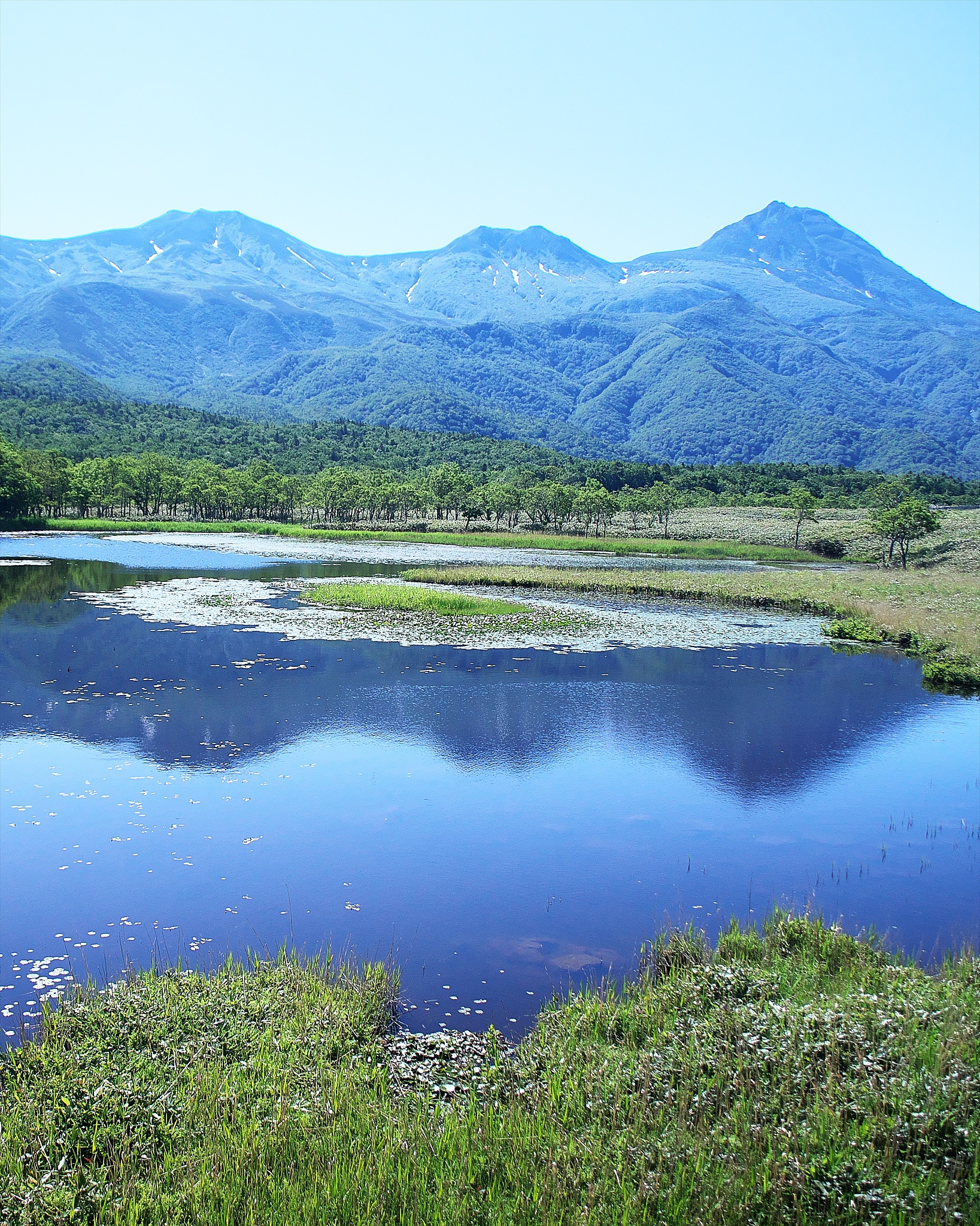 following this form finish the table The theme of the speech is the symbol of China1 Tentative Title of the Speech 2 How are you going to design Central Idea 3 In complete sentense write out the two o