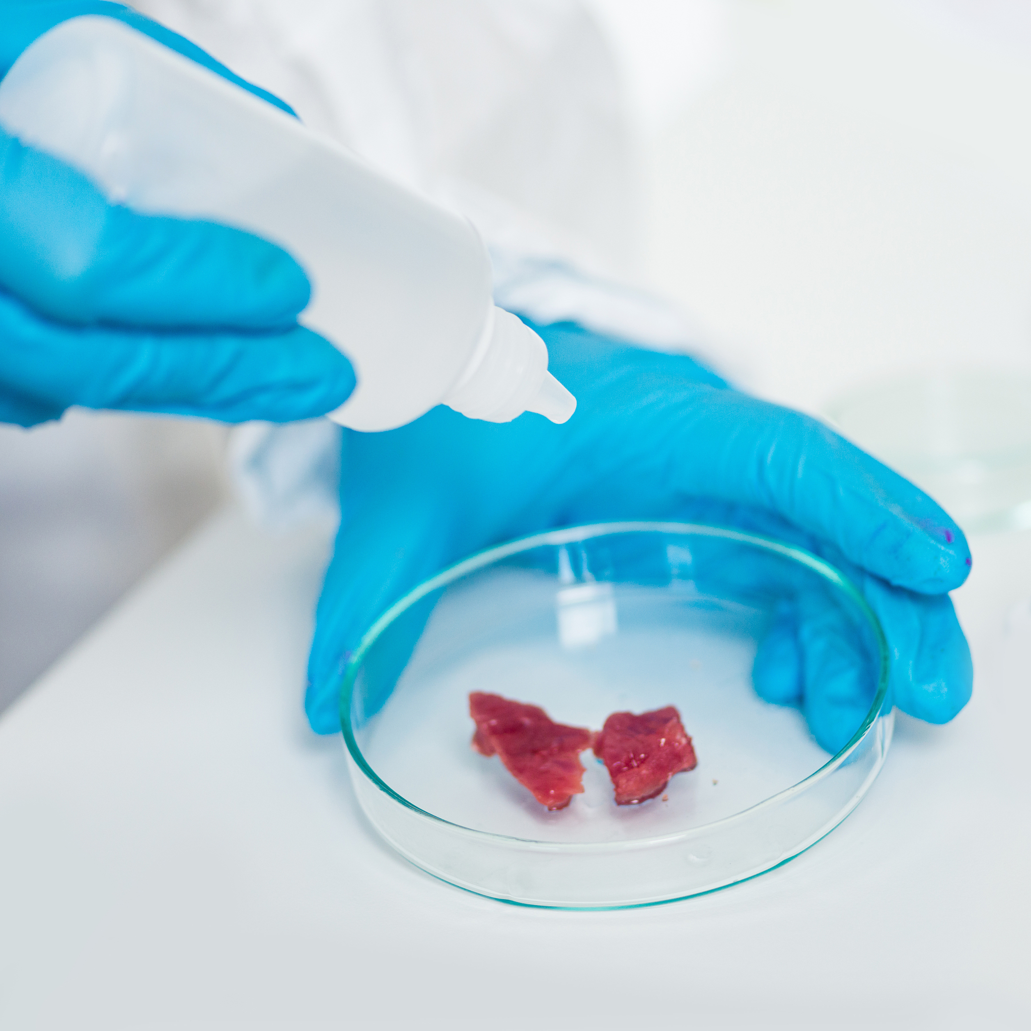 上海理工大学食品质量与安全专业怎么样