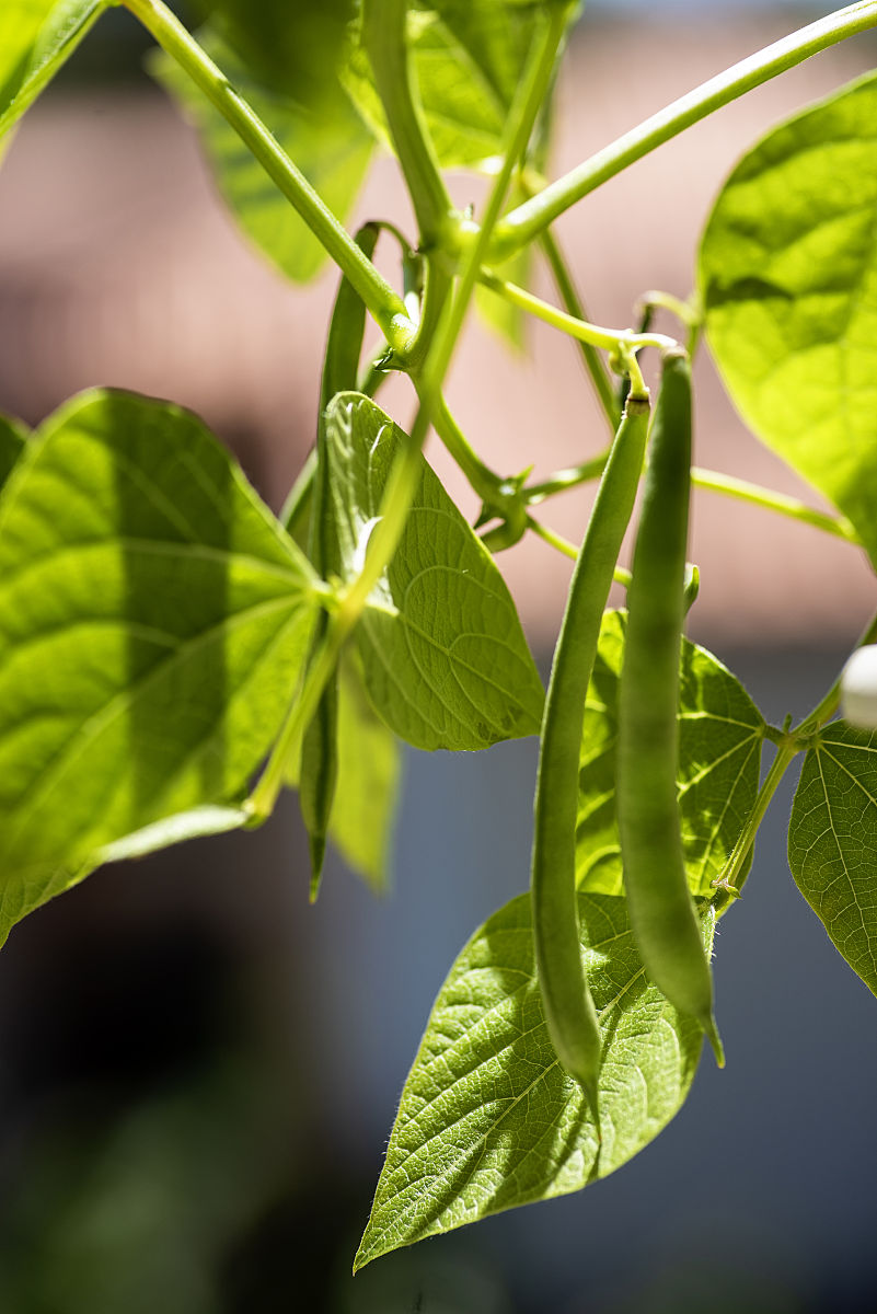 运城农业机电工程学校2023年招生联系方式 好不好