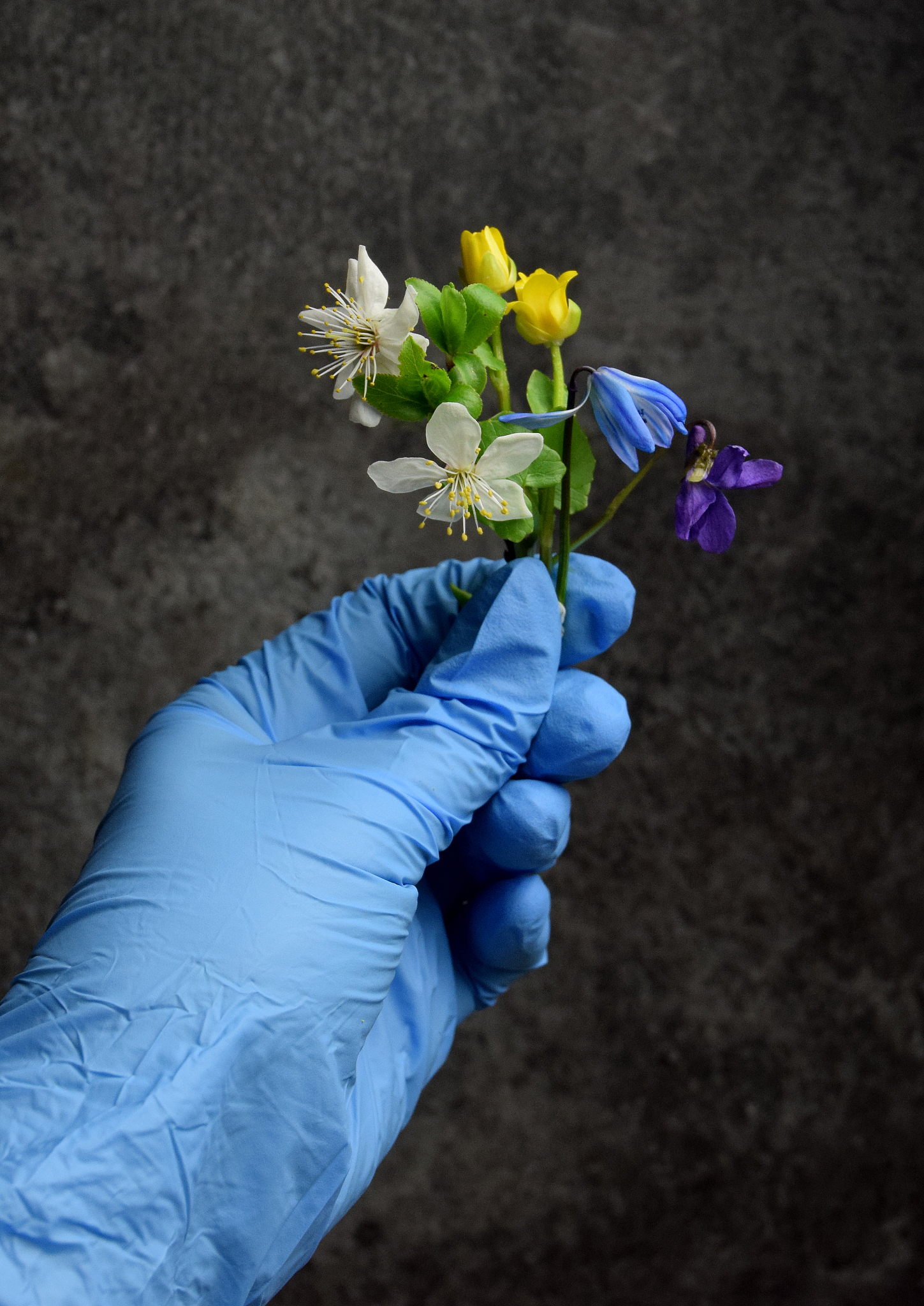 coronavirus spring time pandemic