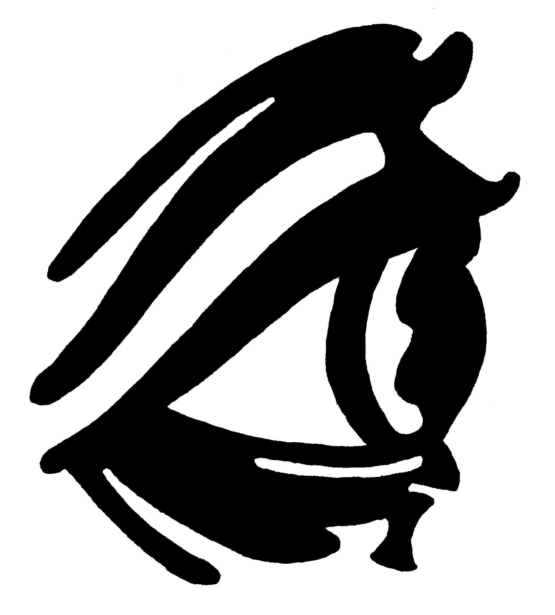eye