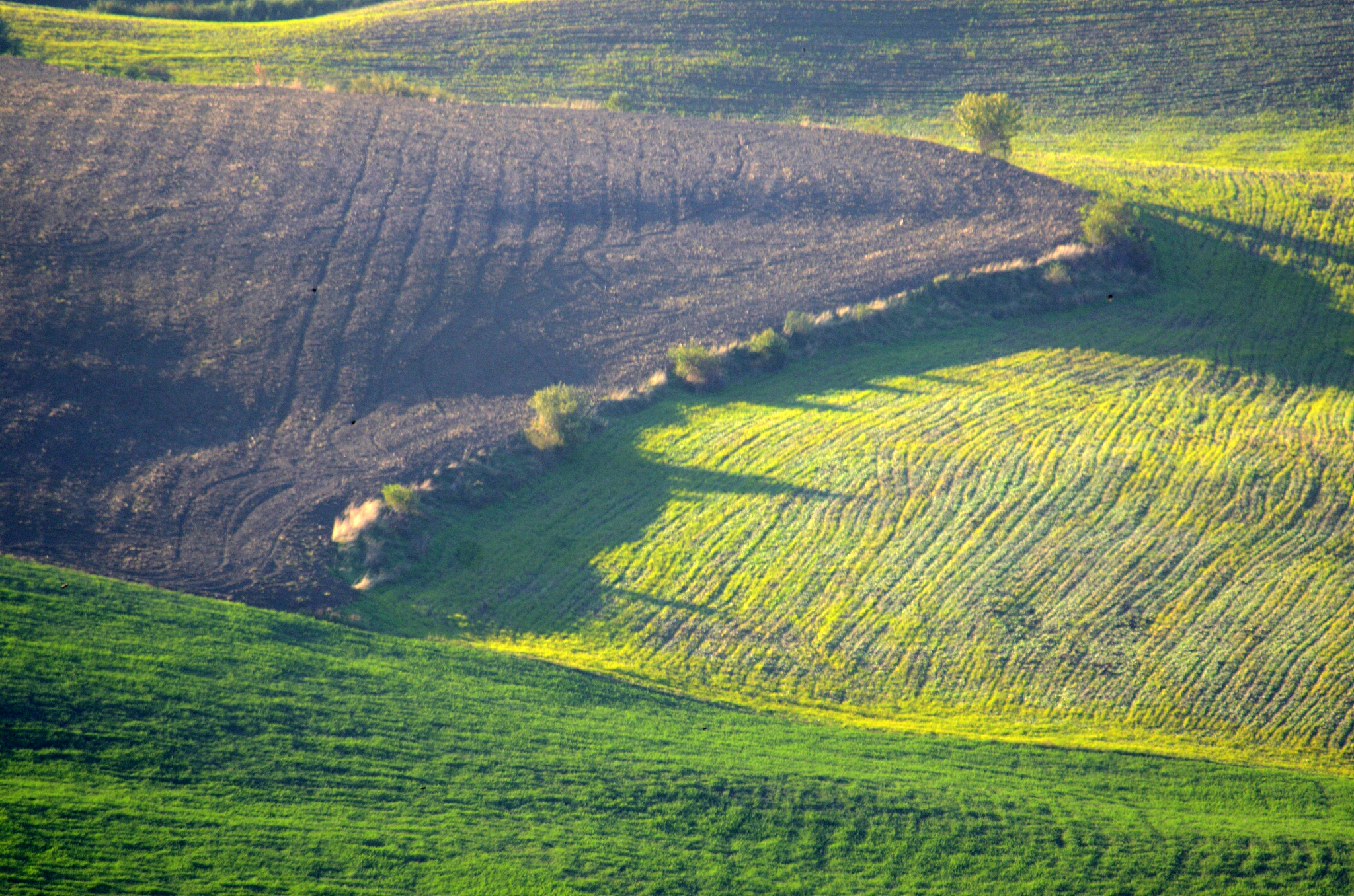 toscana