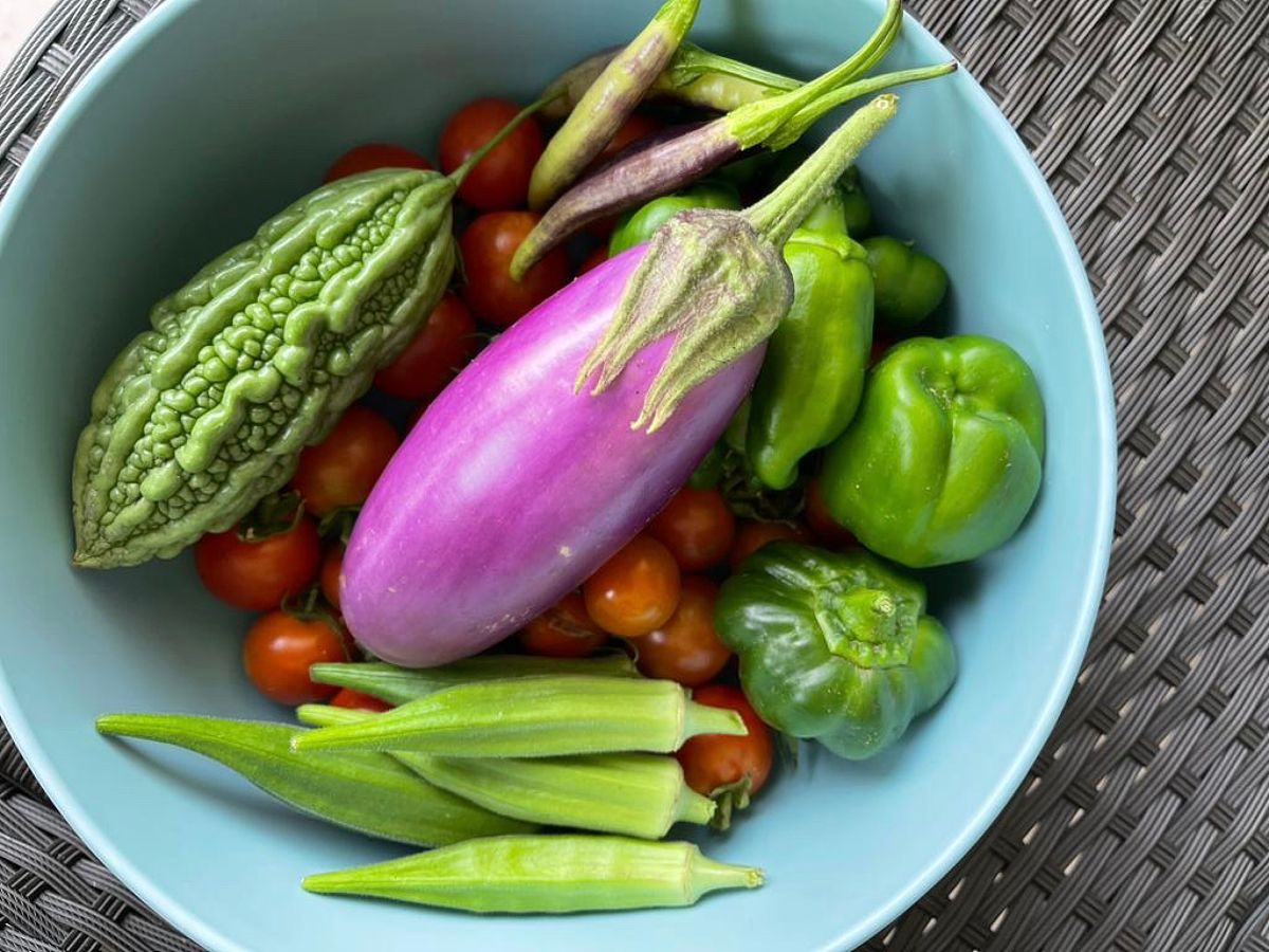 有哪些措施可以保持食物的绿色色泽