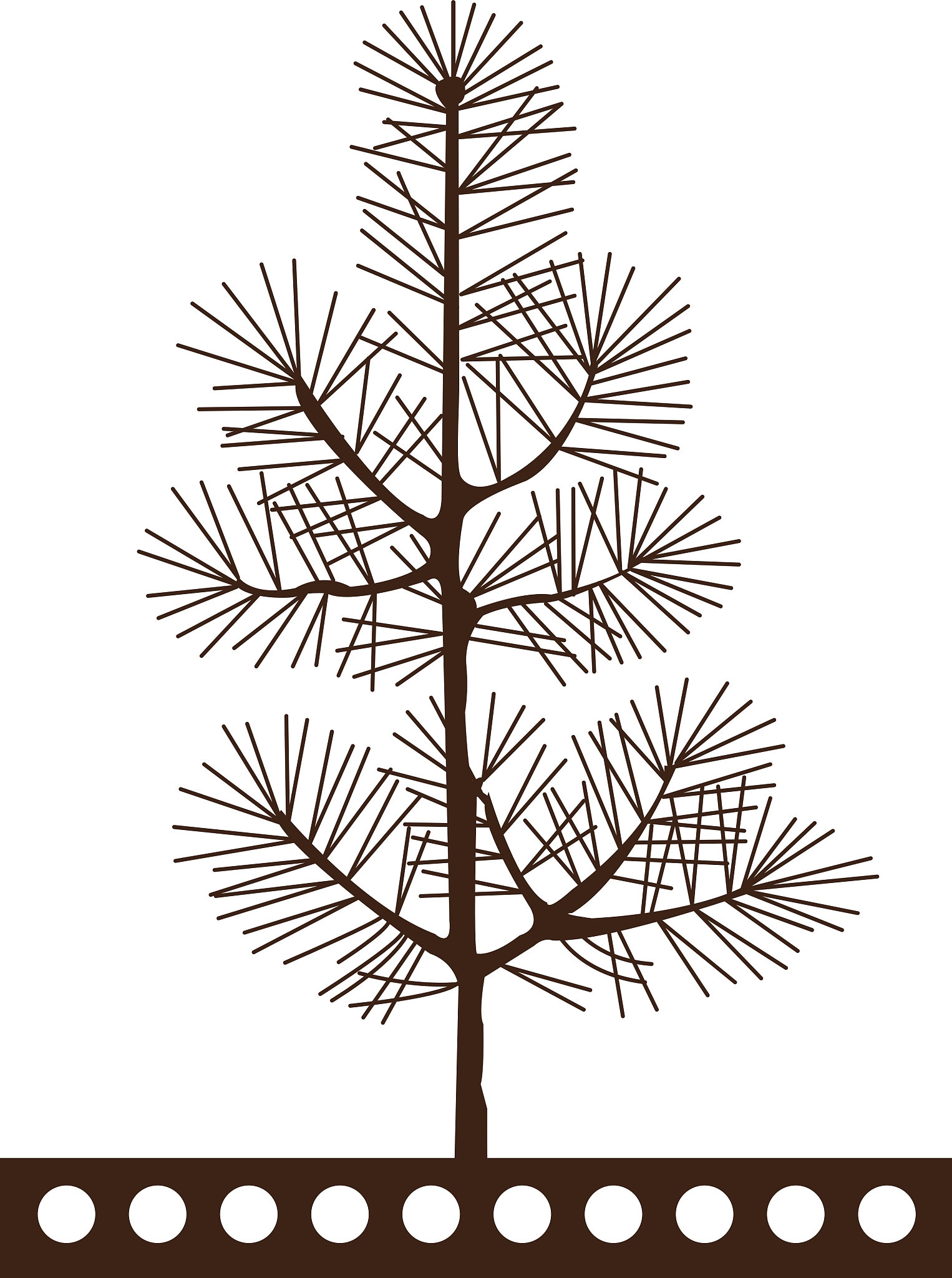 二叉树节点计算：叶子结点、完全二叉树、高度与结点数