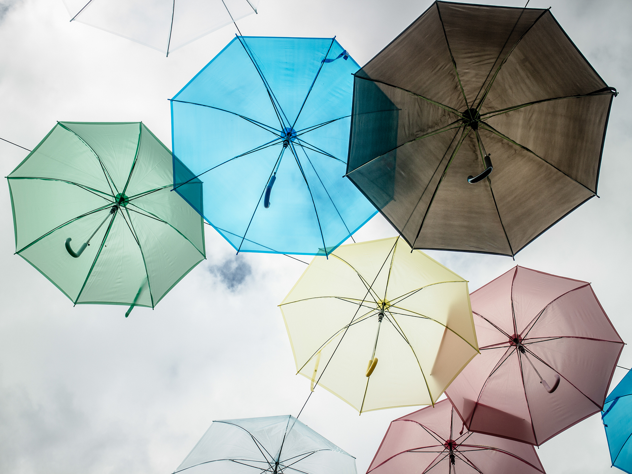 color umbrella