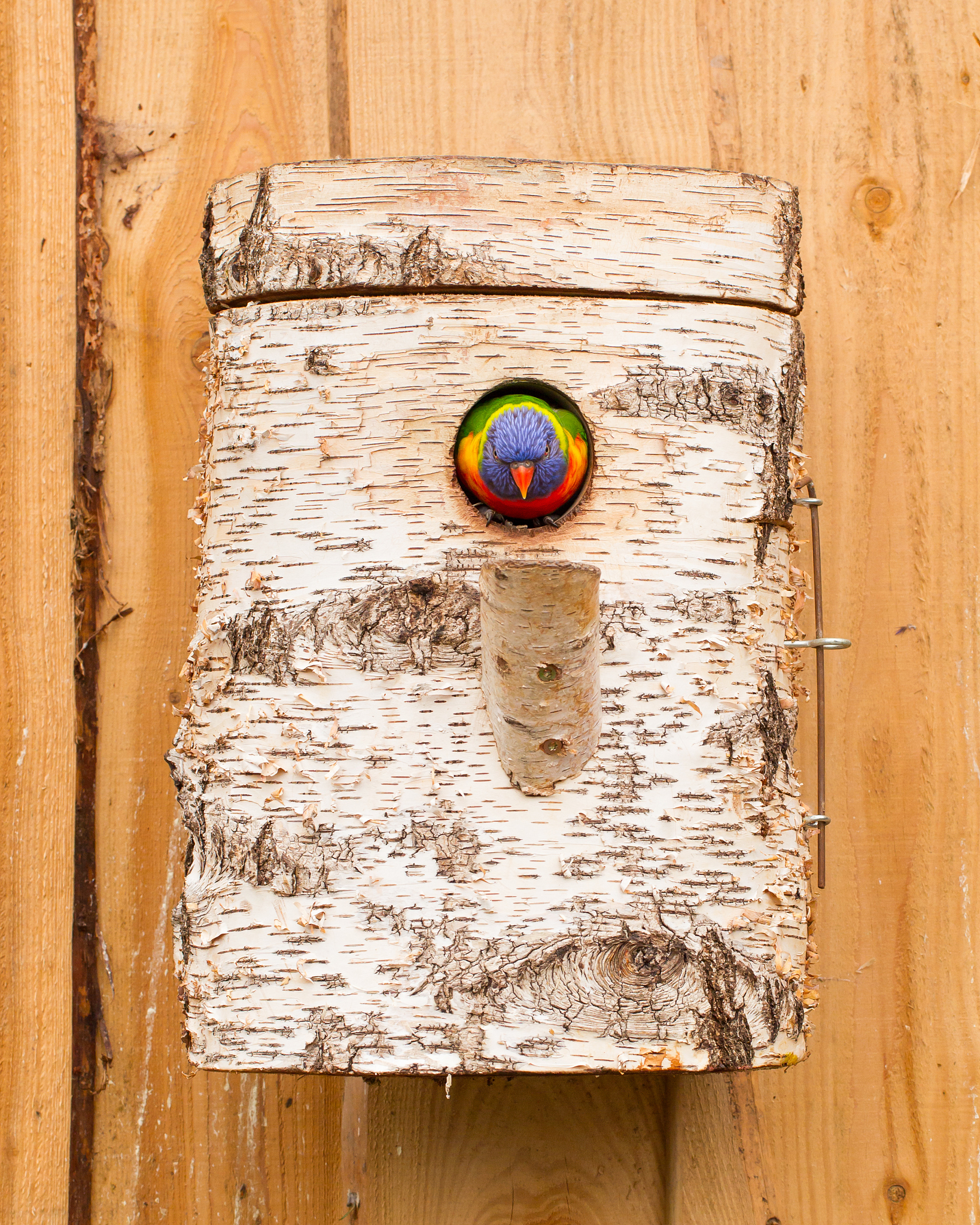 怠业是什么意思_词语怠业的意思