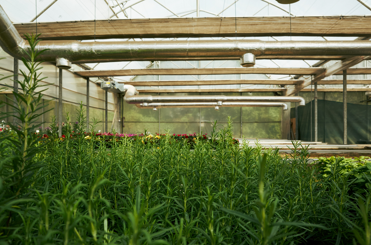 吉林植物保护专业就业前景分析：毕业后可以做什么？