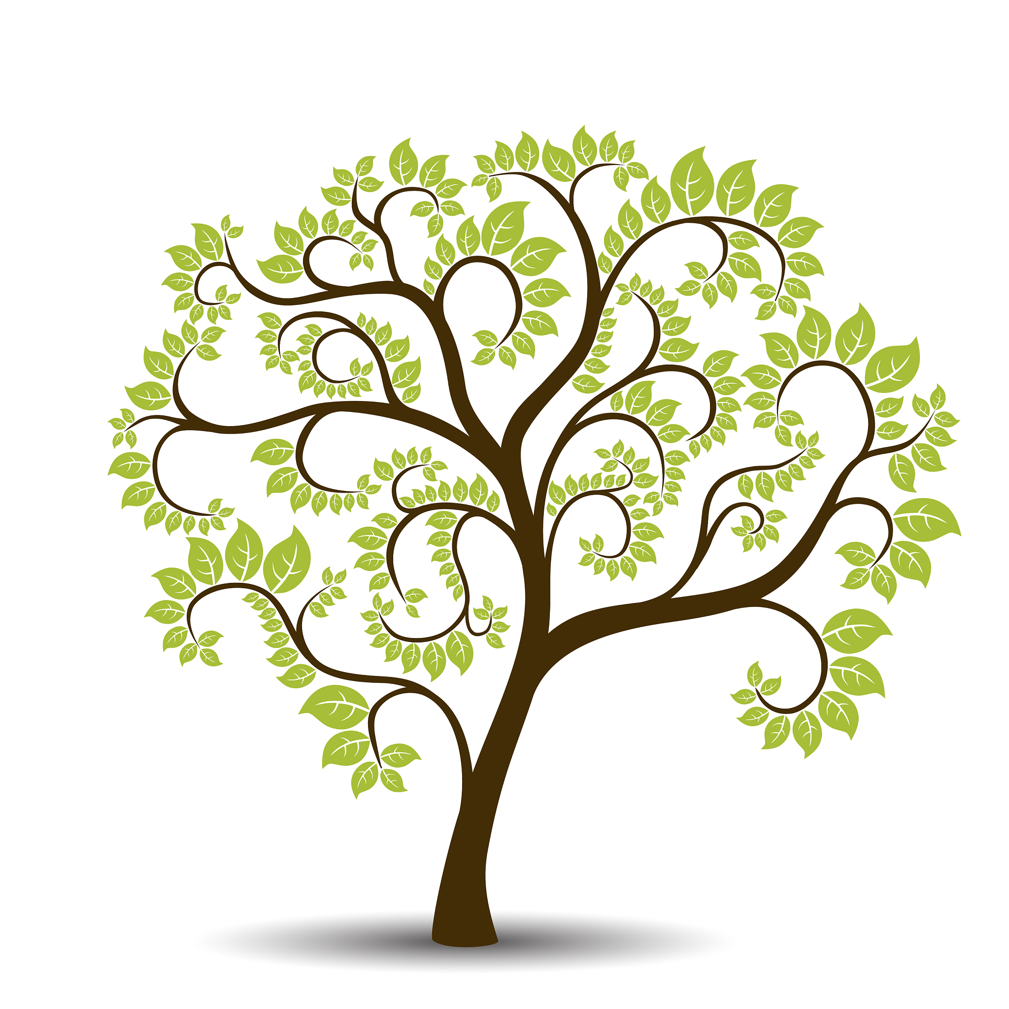 summer tree