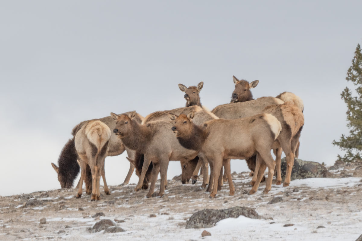 观察日记：公园一日游，记录城市里的美好与活力